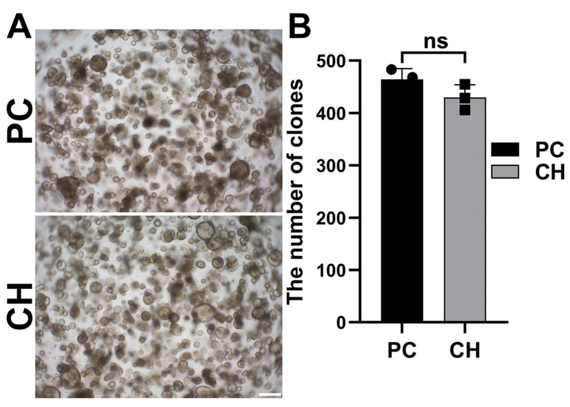 Biomolecules 14 00095 g005