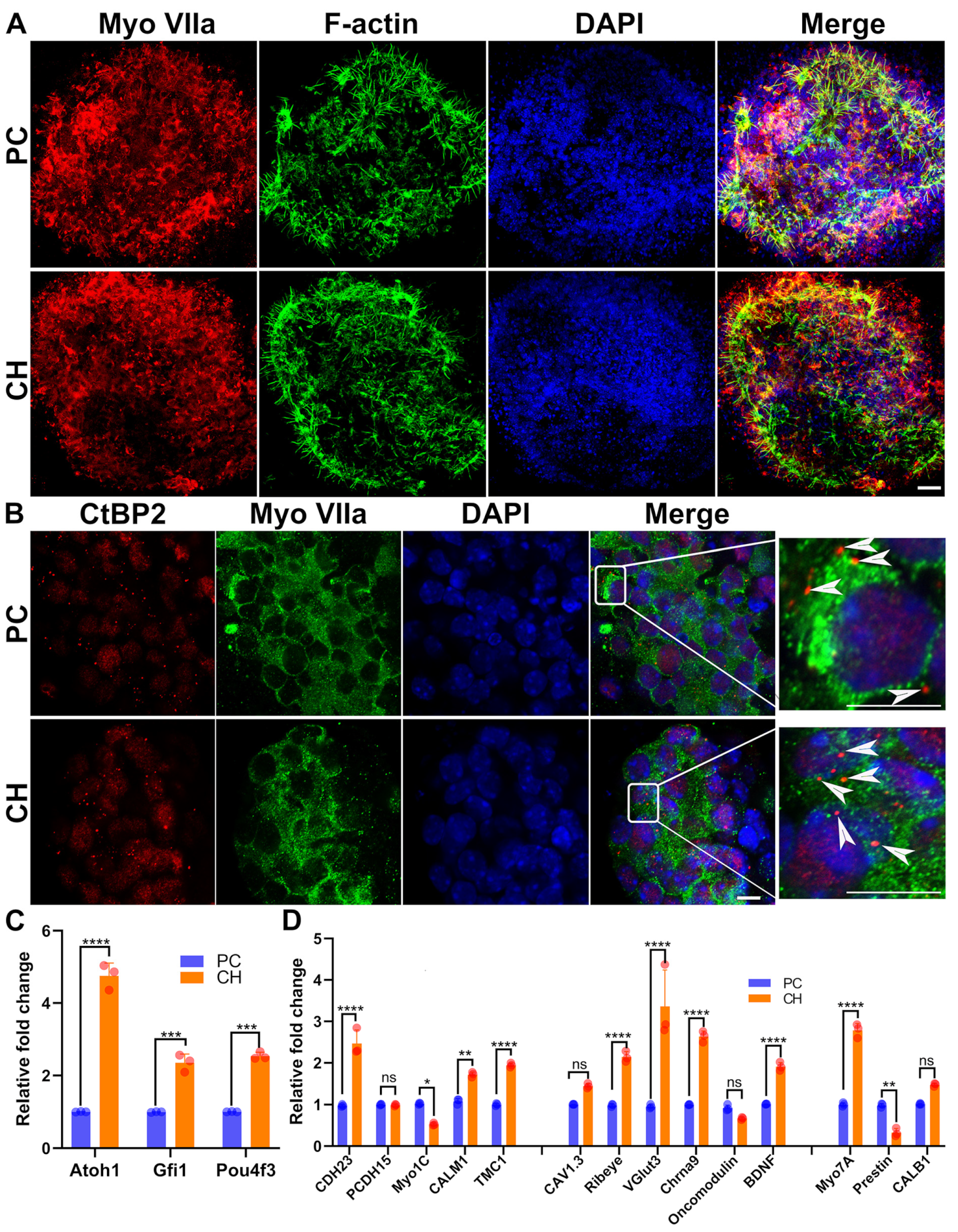 Biomolecules 14 00095 g007