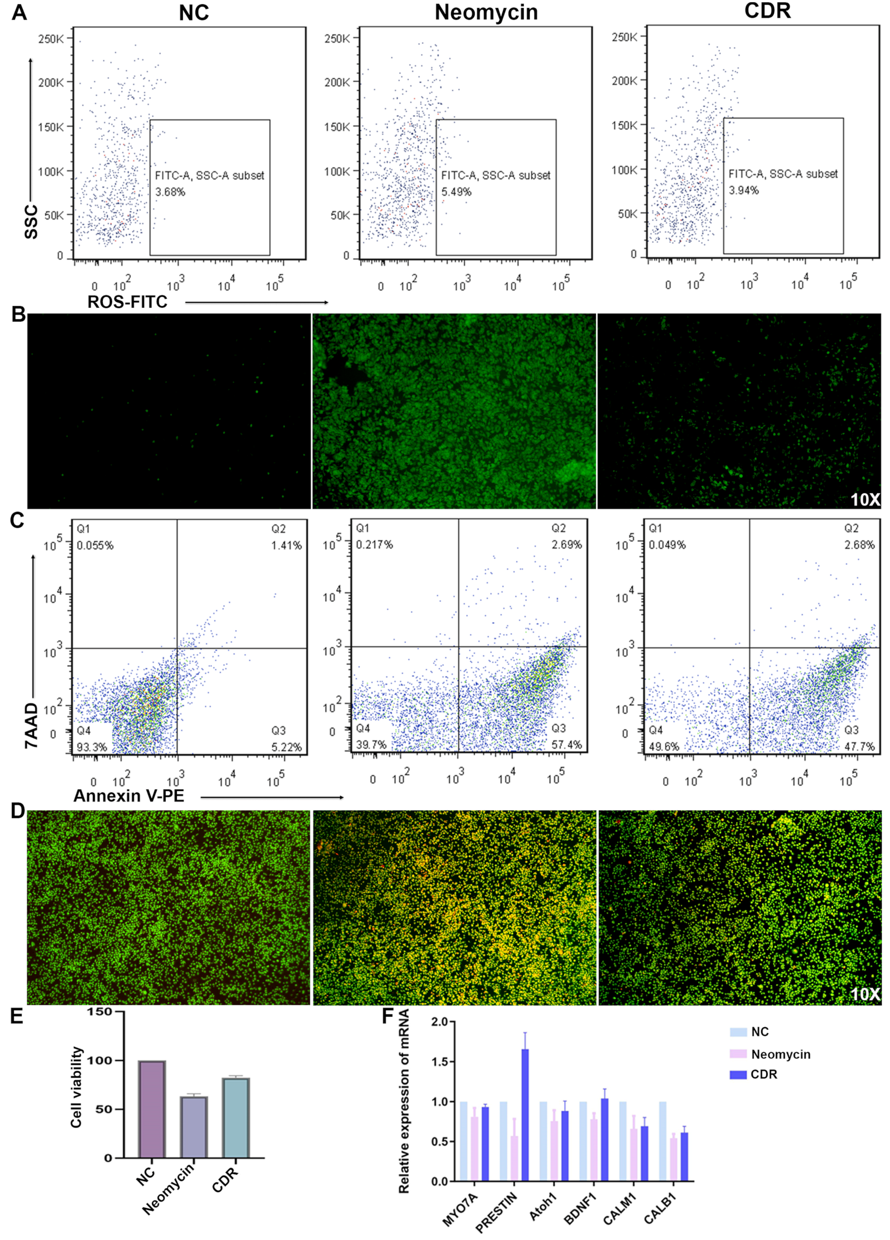 Biomolecules 14 00095 g008