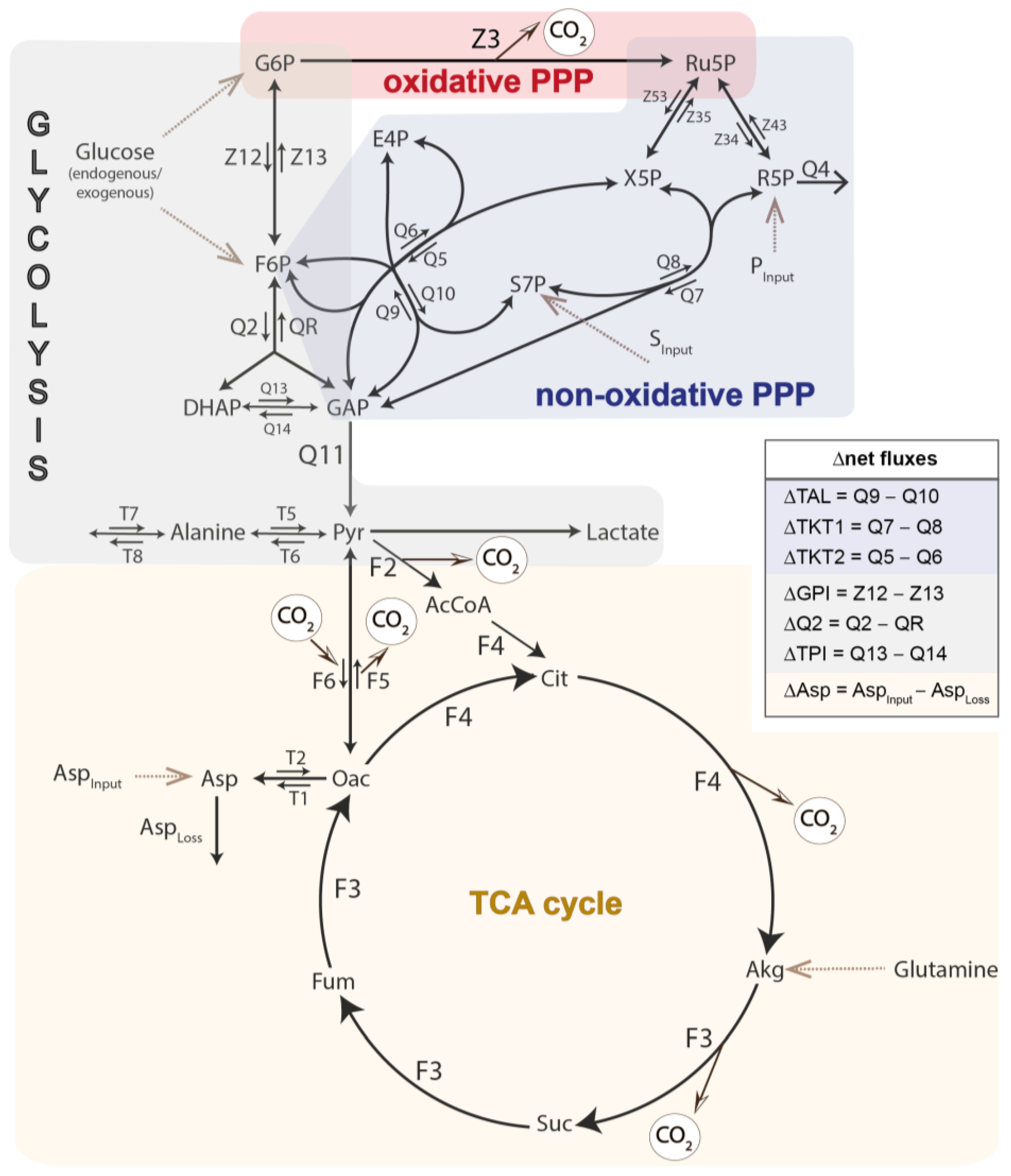 Biomolecules 14 00098 g001
