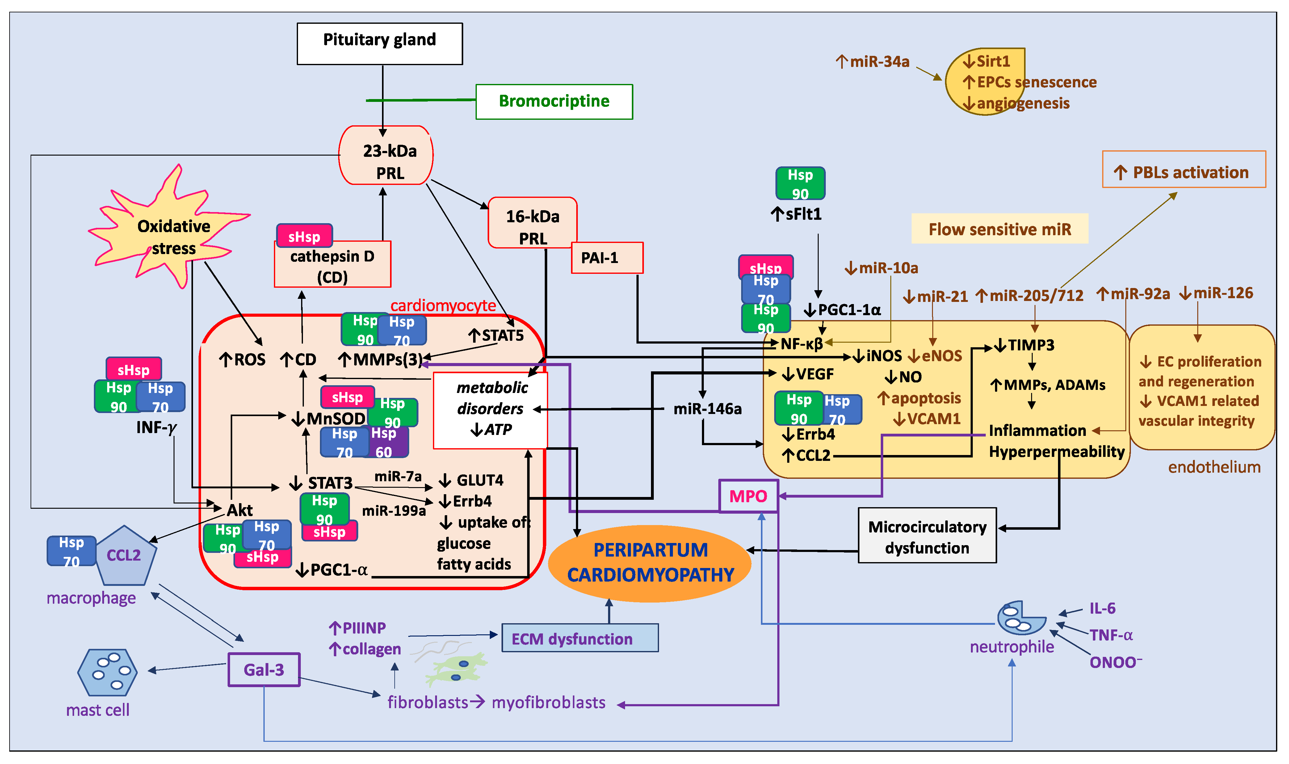 Biomolecules 14 00103 g004 Biomolecules 14 00103 g004
