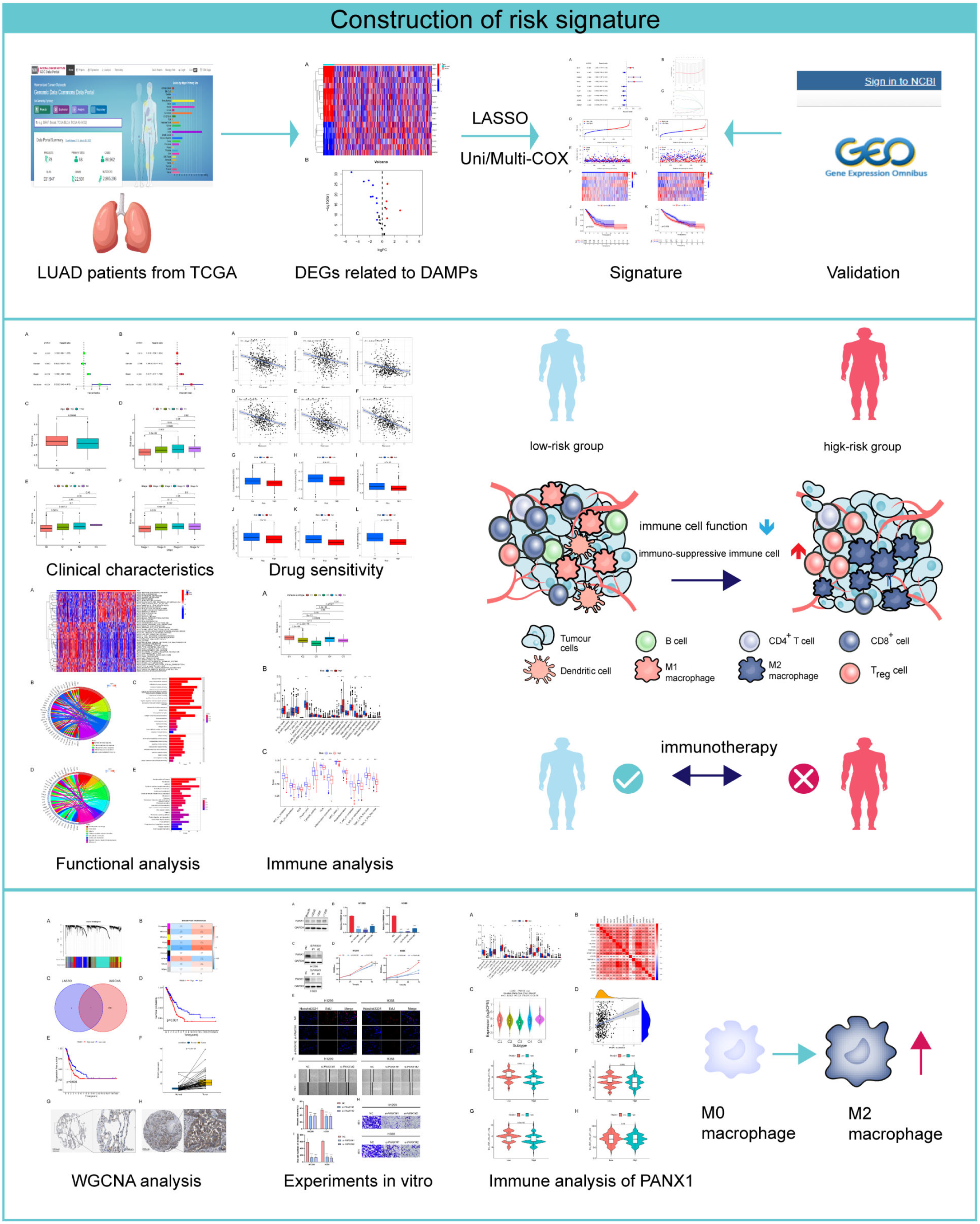 Biomolecules 14 00108 g001