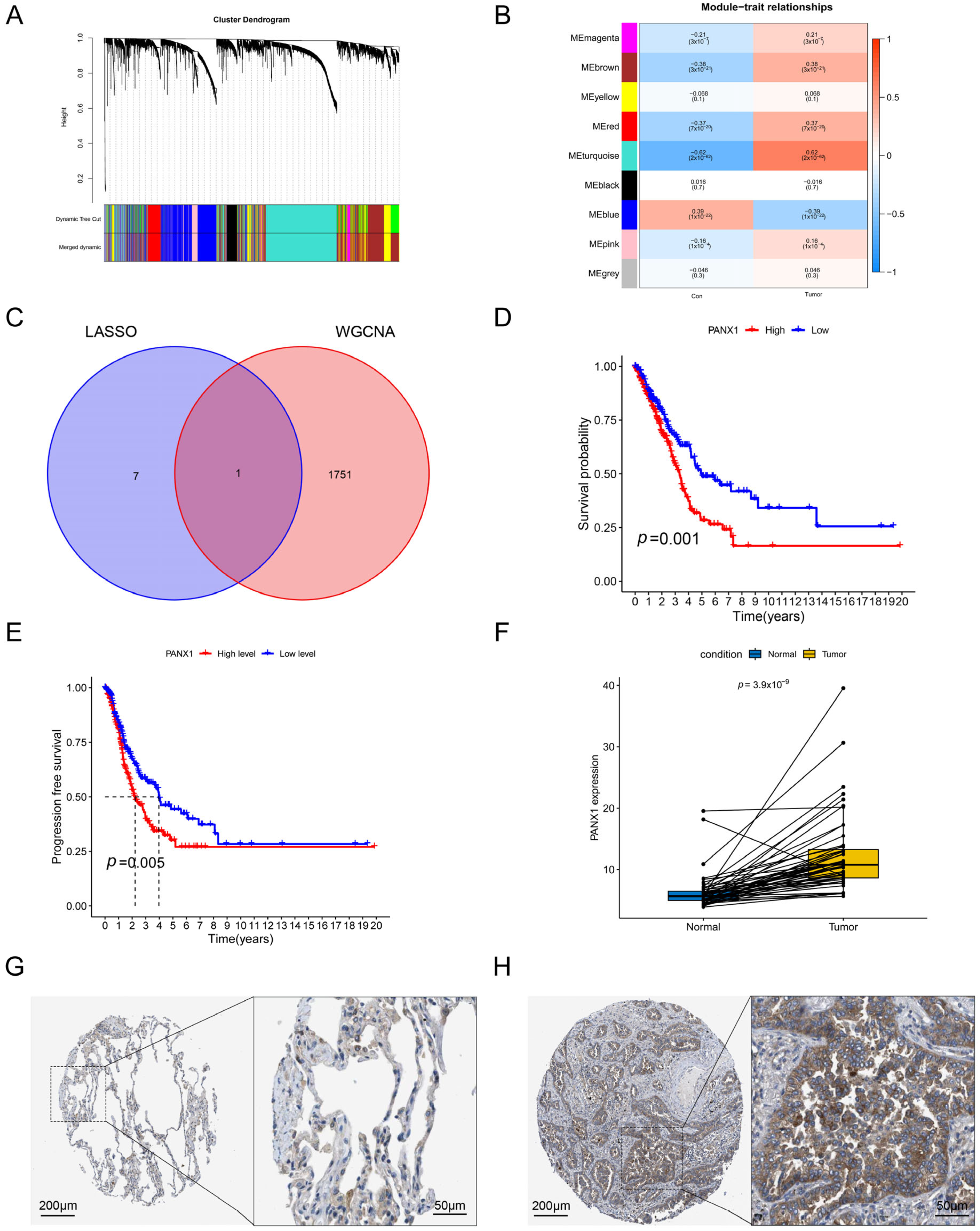 Biomolecules 14 00108 g009