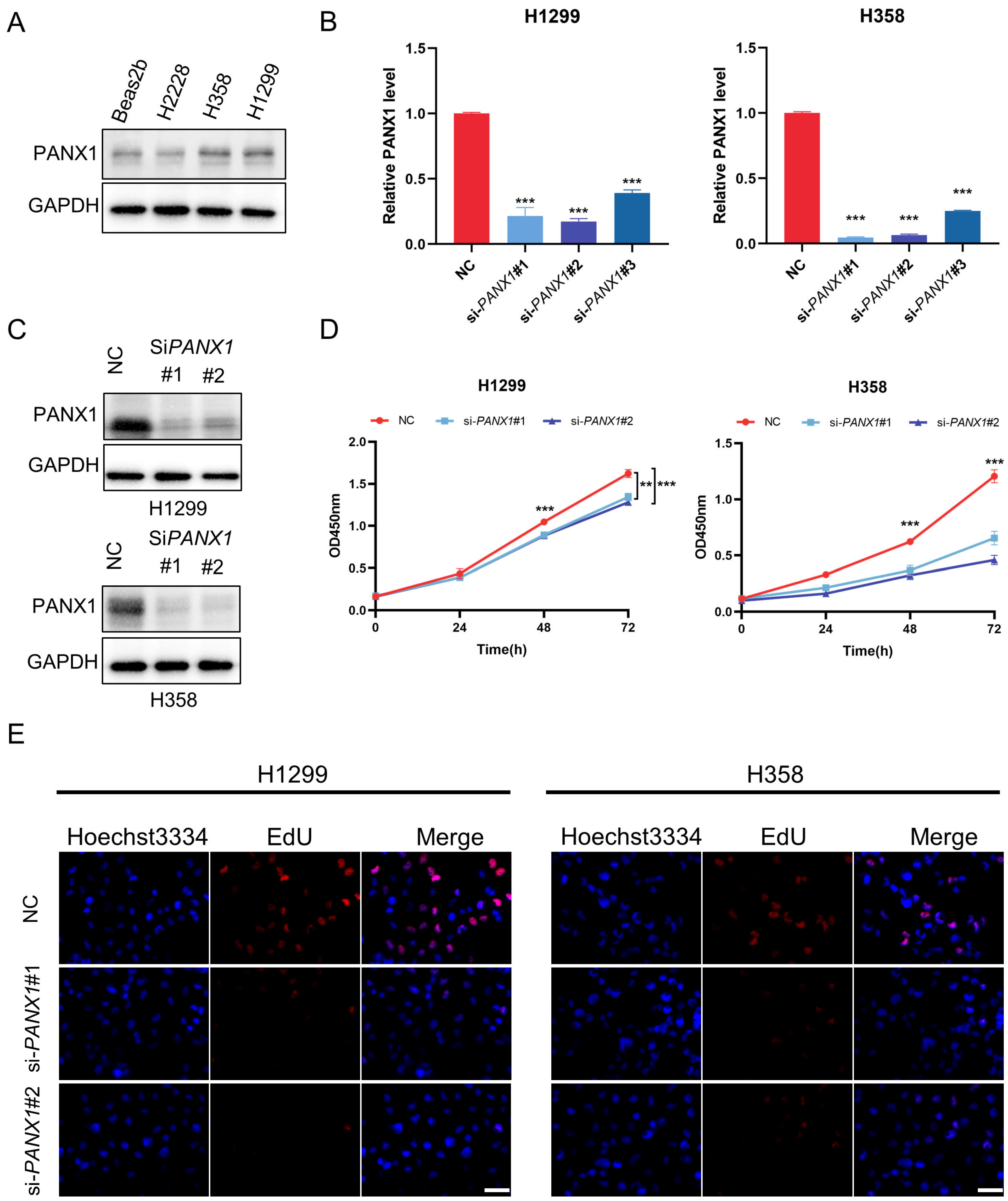 Biomolecules 14 00108 g010a