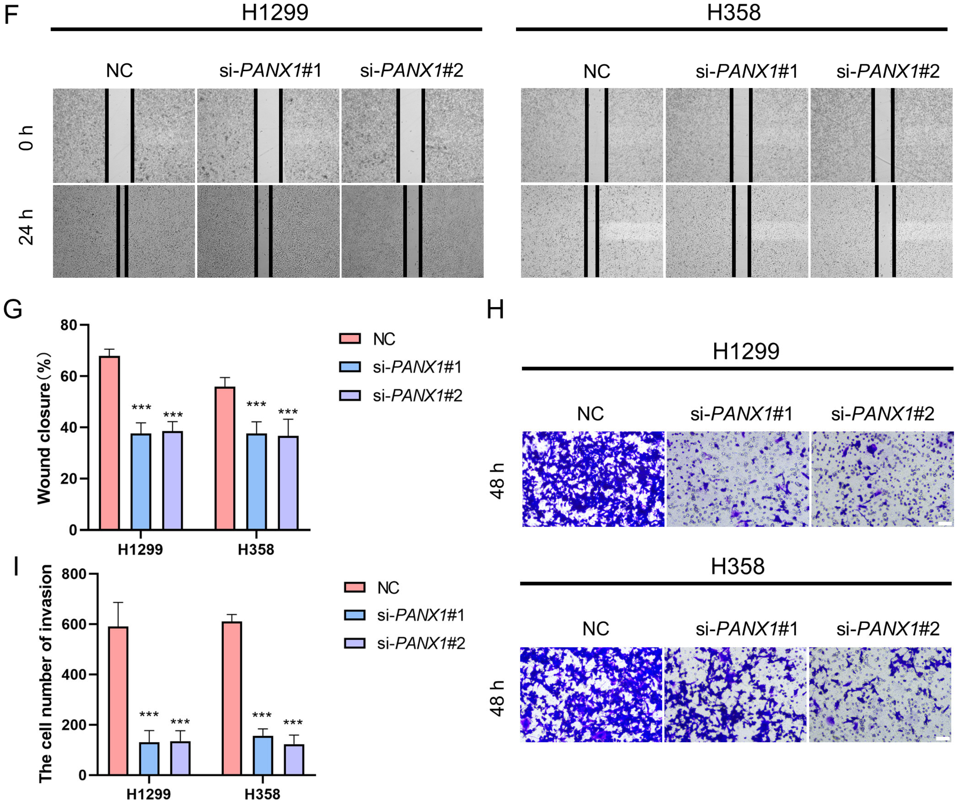 Biomolecules 14 00108 g010b