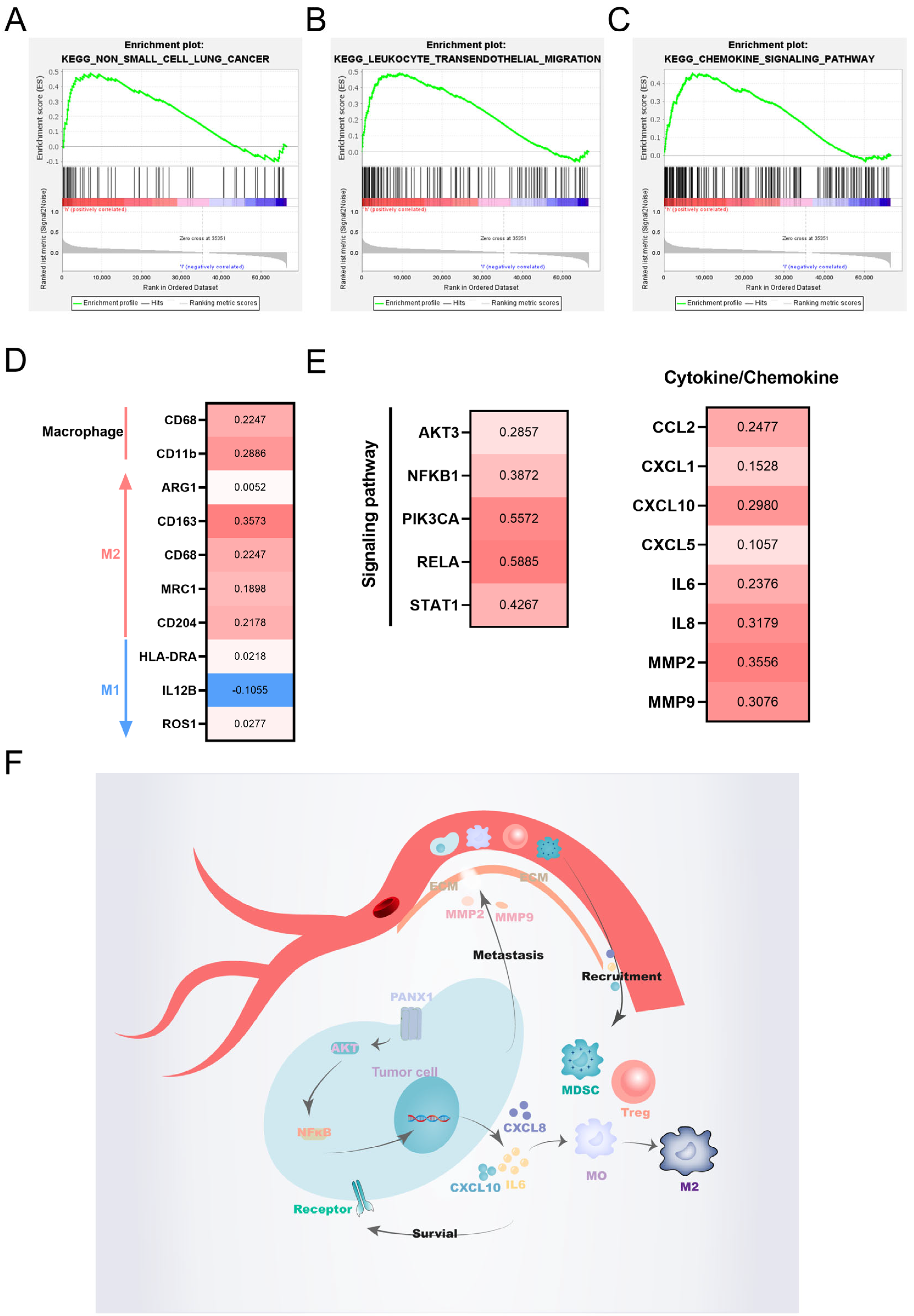 Biomolecules 14 00108 g012