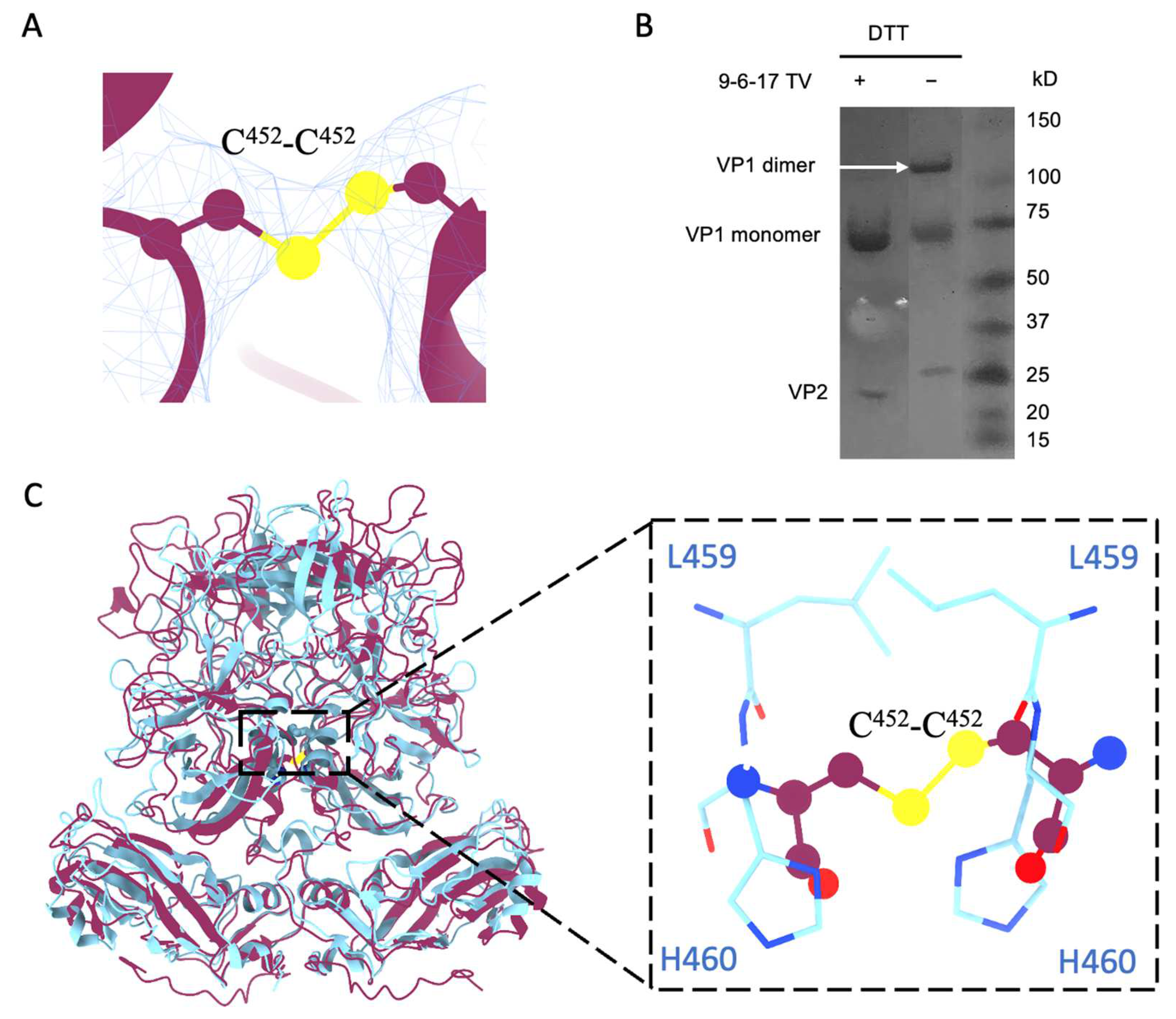 Biomolecules 14 00119 g005