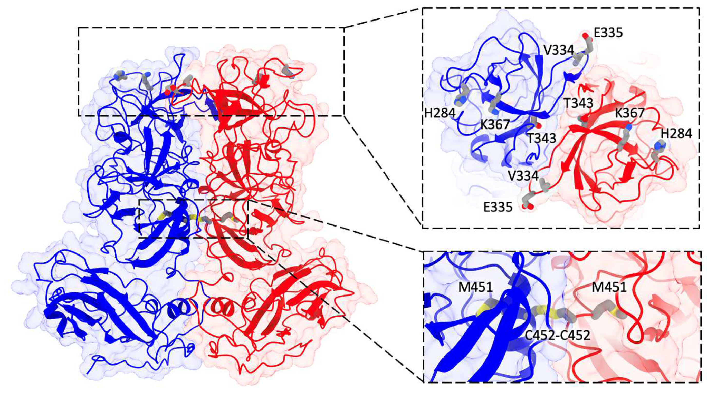 Biomolecules 14 00119 g008