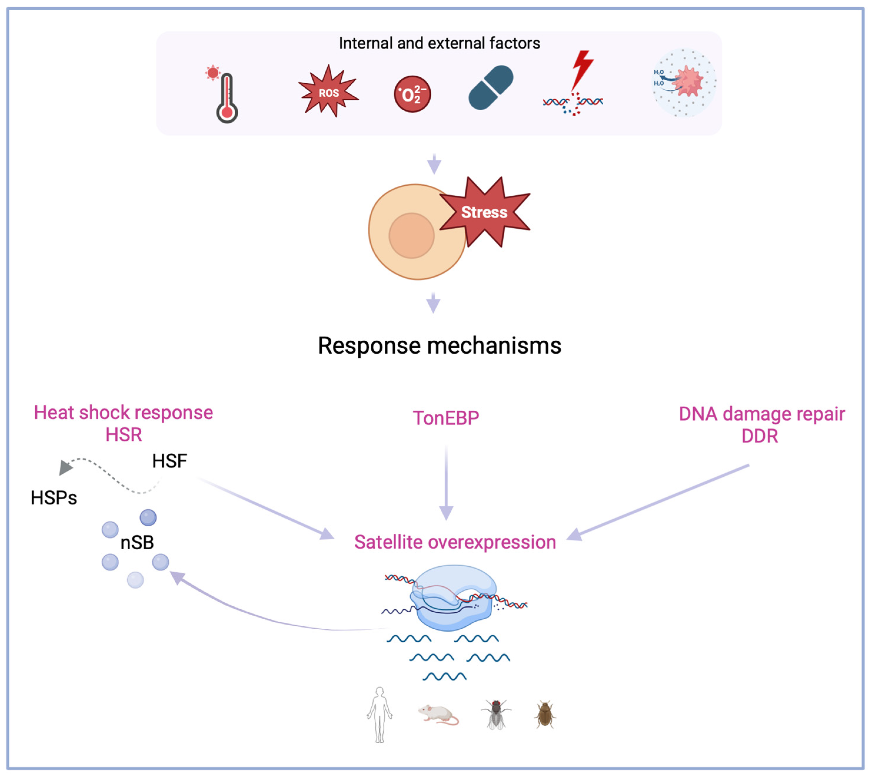 Biomolecules 14 00124 g001 Biomolecules 14 00124 g001