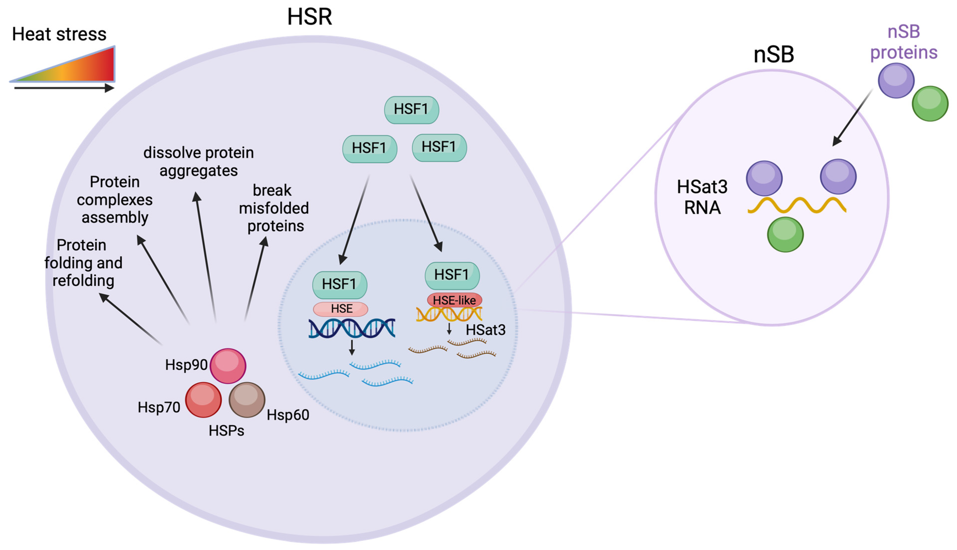 Biomolecules 14 00124 g002 Biomolecules 14 00124 g002