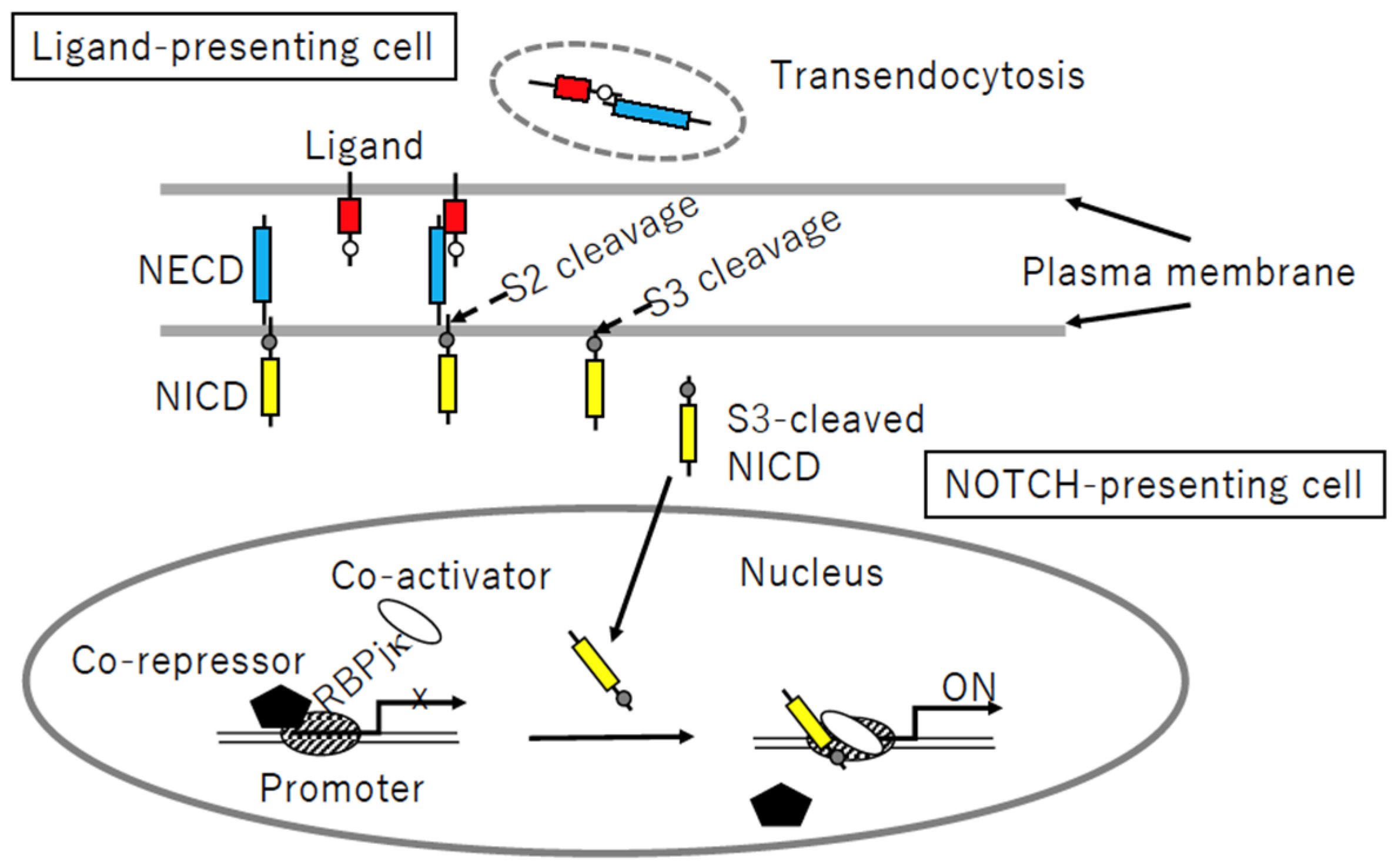 Biomolecules 14 00127 g004 Biomolecules 14 00127 g004