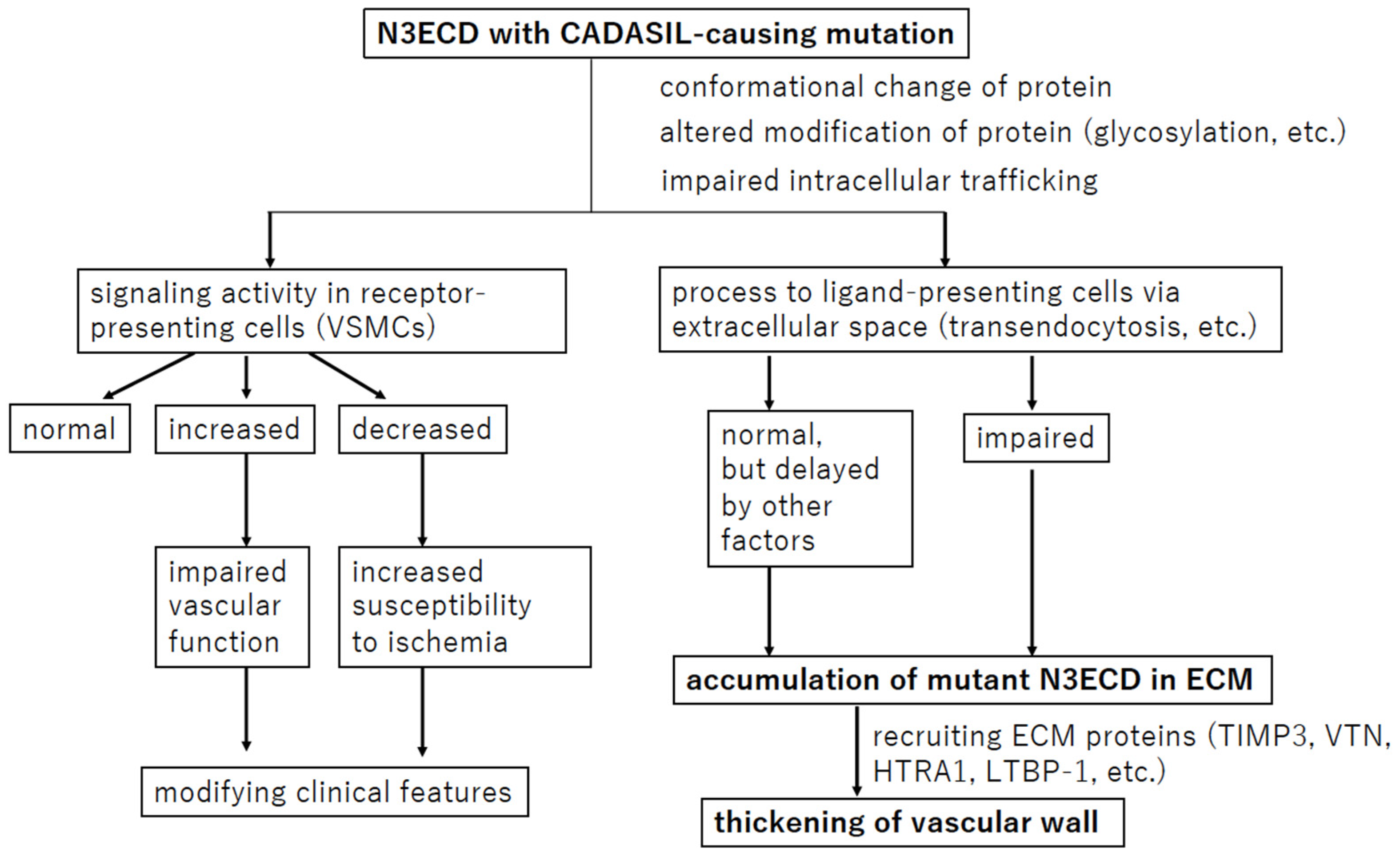 Biomolecules 14 00127 g005 Biomolecules 14 00127 g005