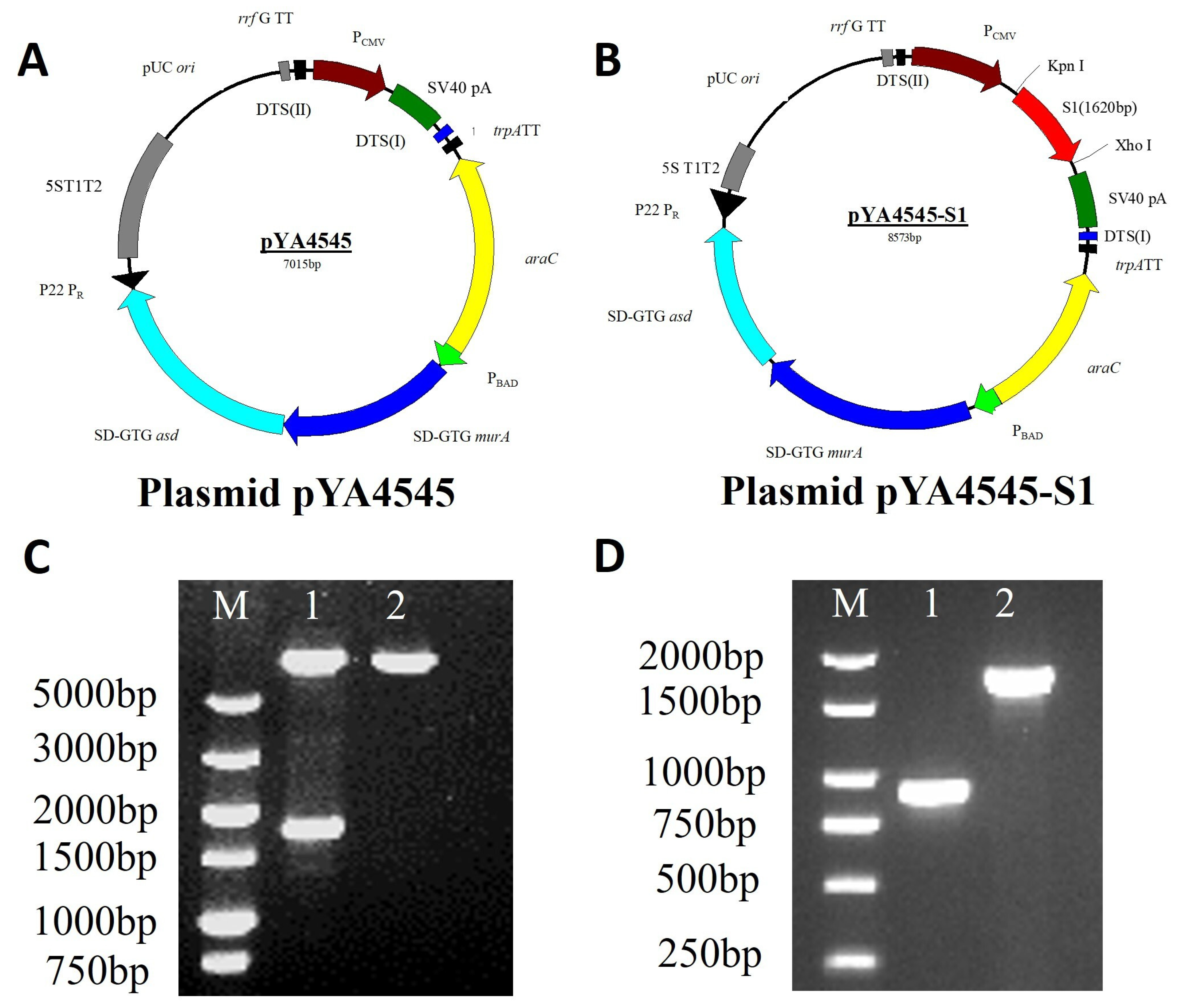 Biomolecules 14 00133 g001