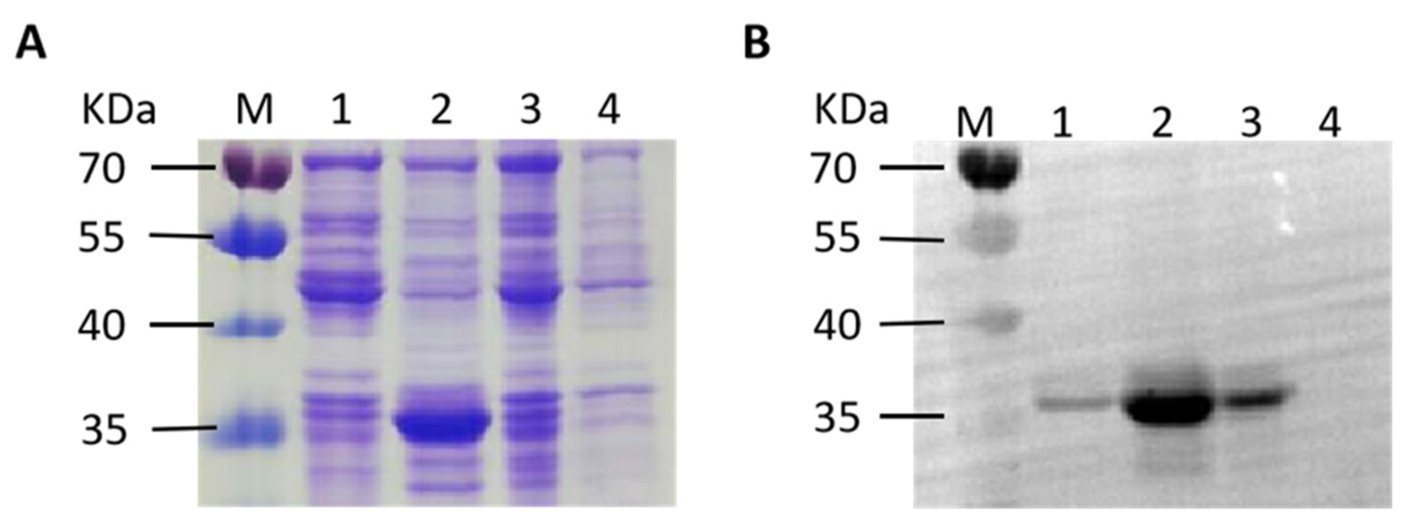 Biomolecules 14 00133 g002