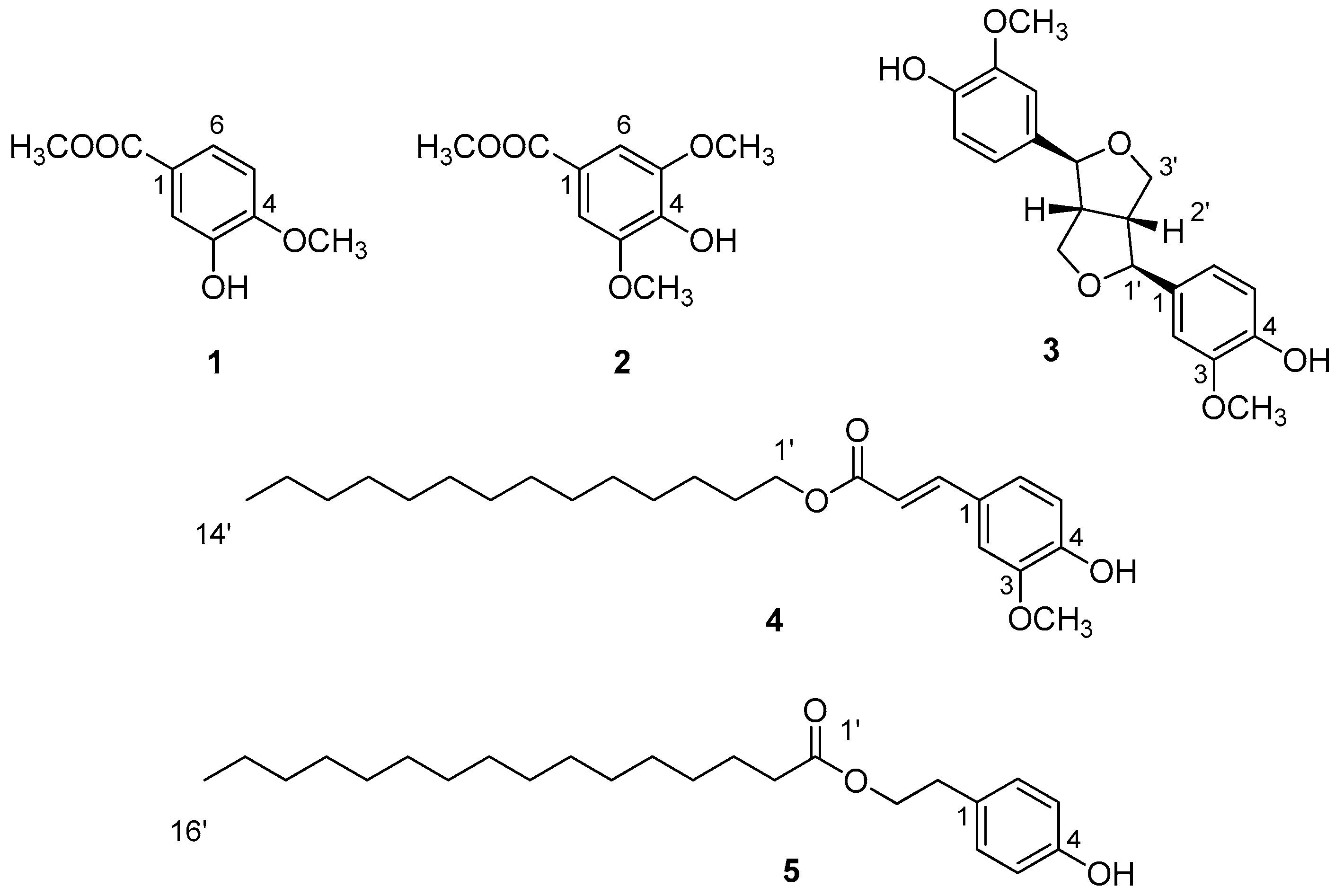 Biomolecules 14 00134 g002 Biomolecules 14 00134 g002