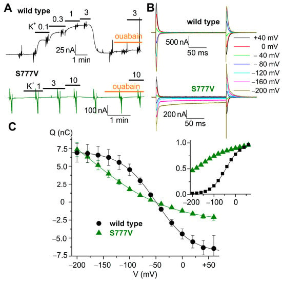 Biomolecules, Free Full-Text