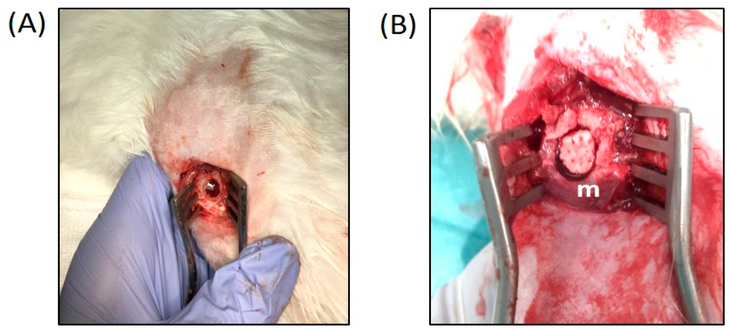 Biomolecules 14 00143 g001