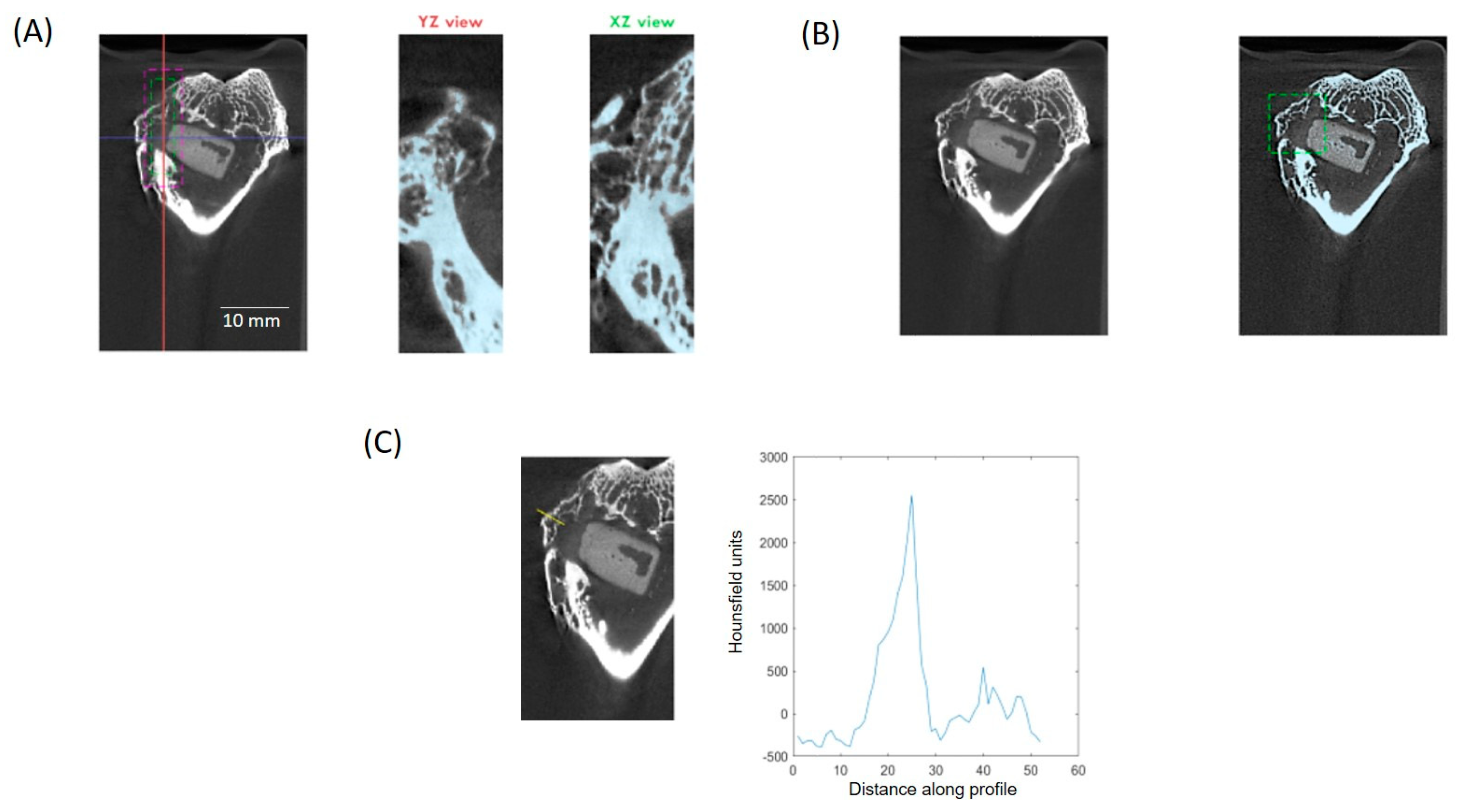 Biomolecules 14 00143 g005