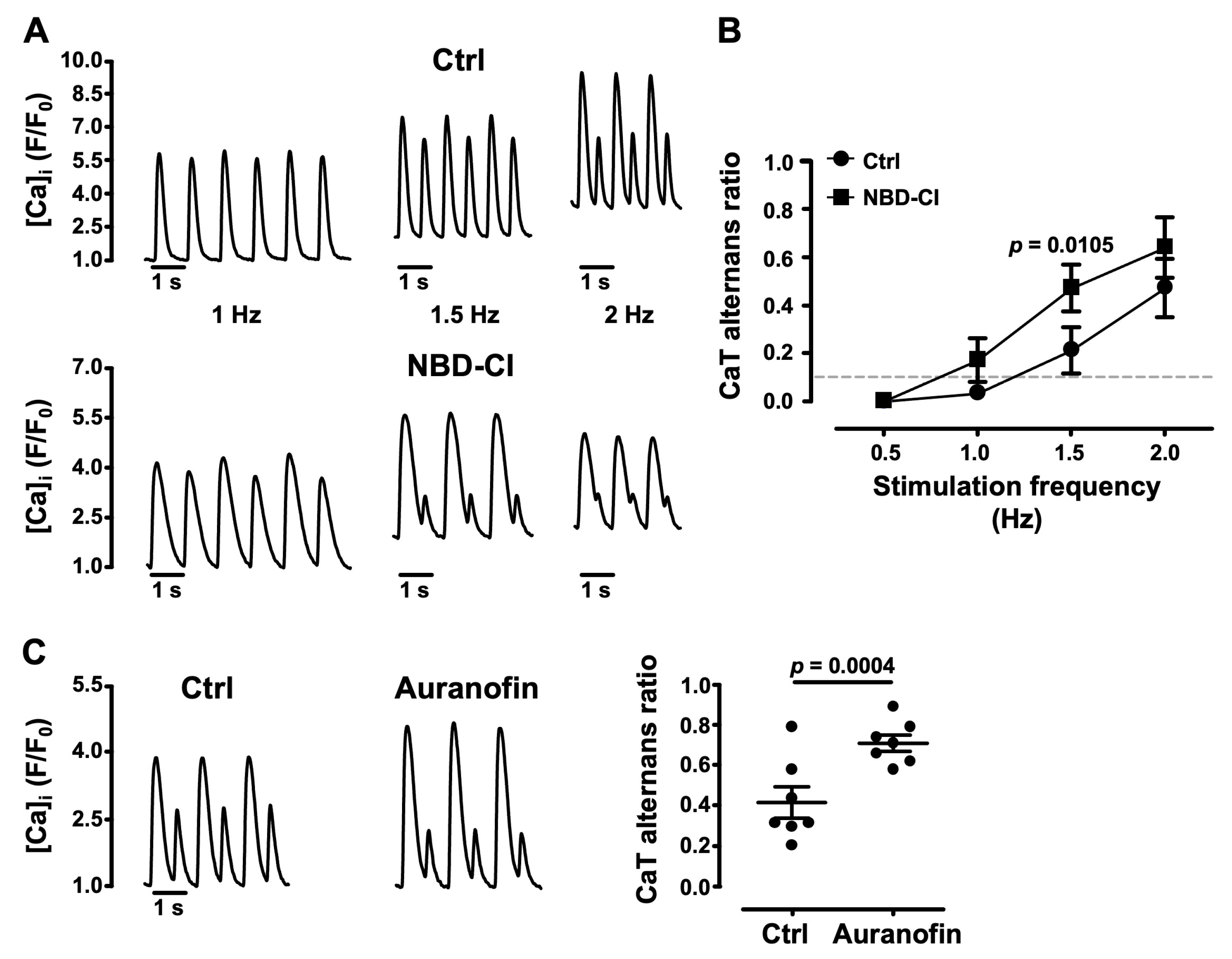 Biomolecules 14 00144 g006