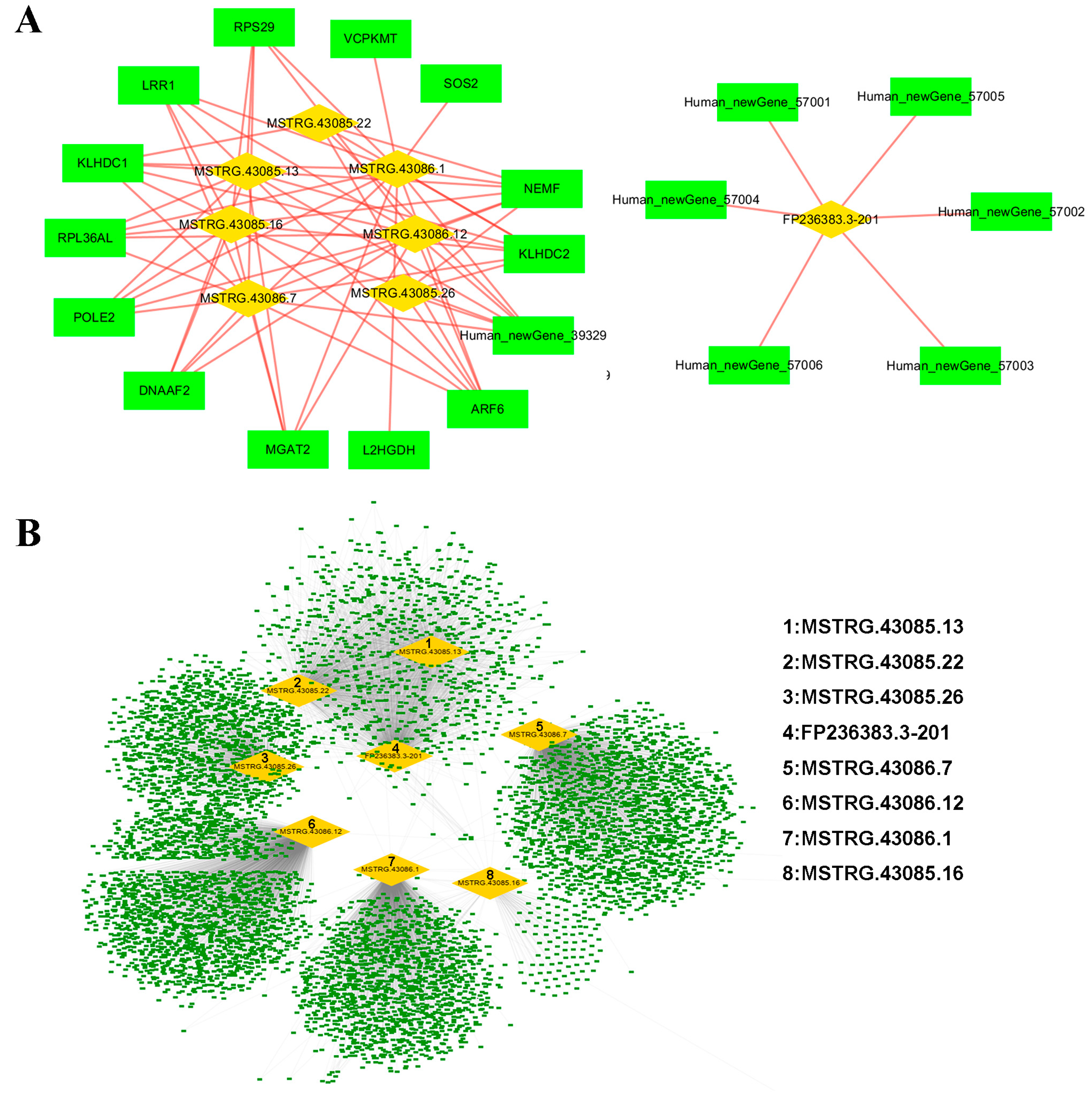 Biomolecules 14 00146 g003 Biomolecules 14 00146 g003