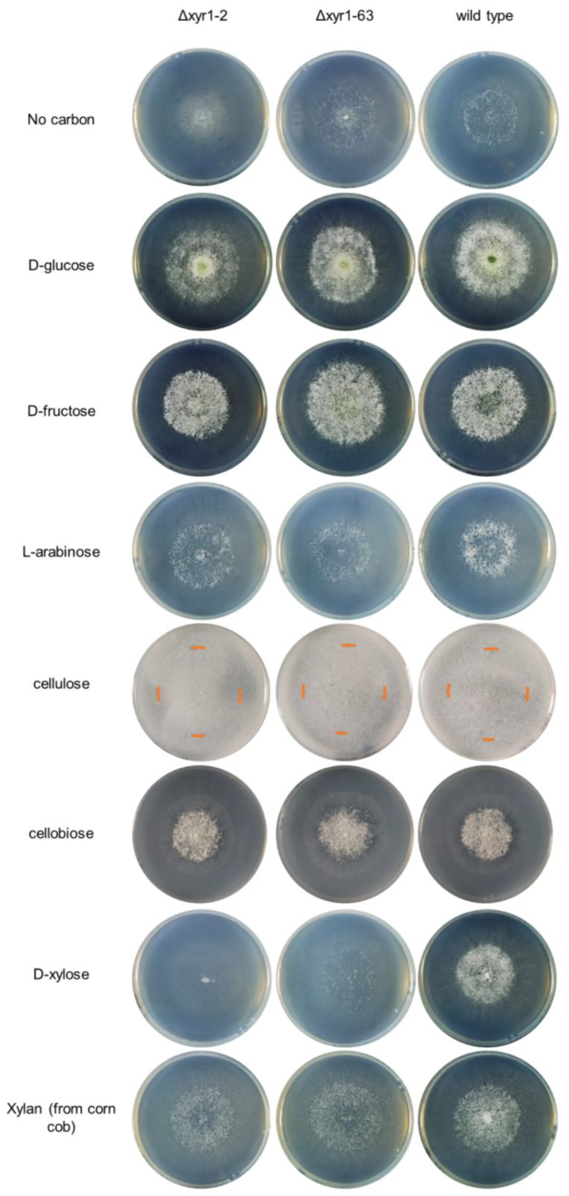 Biomolecules 14 00148 g002