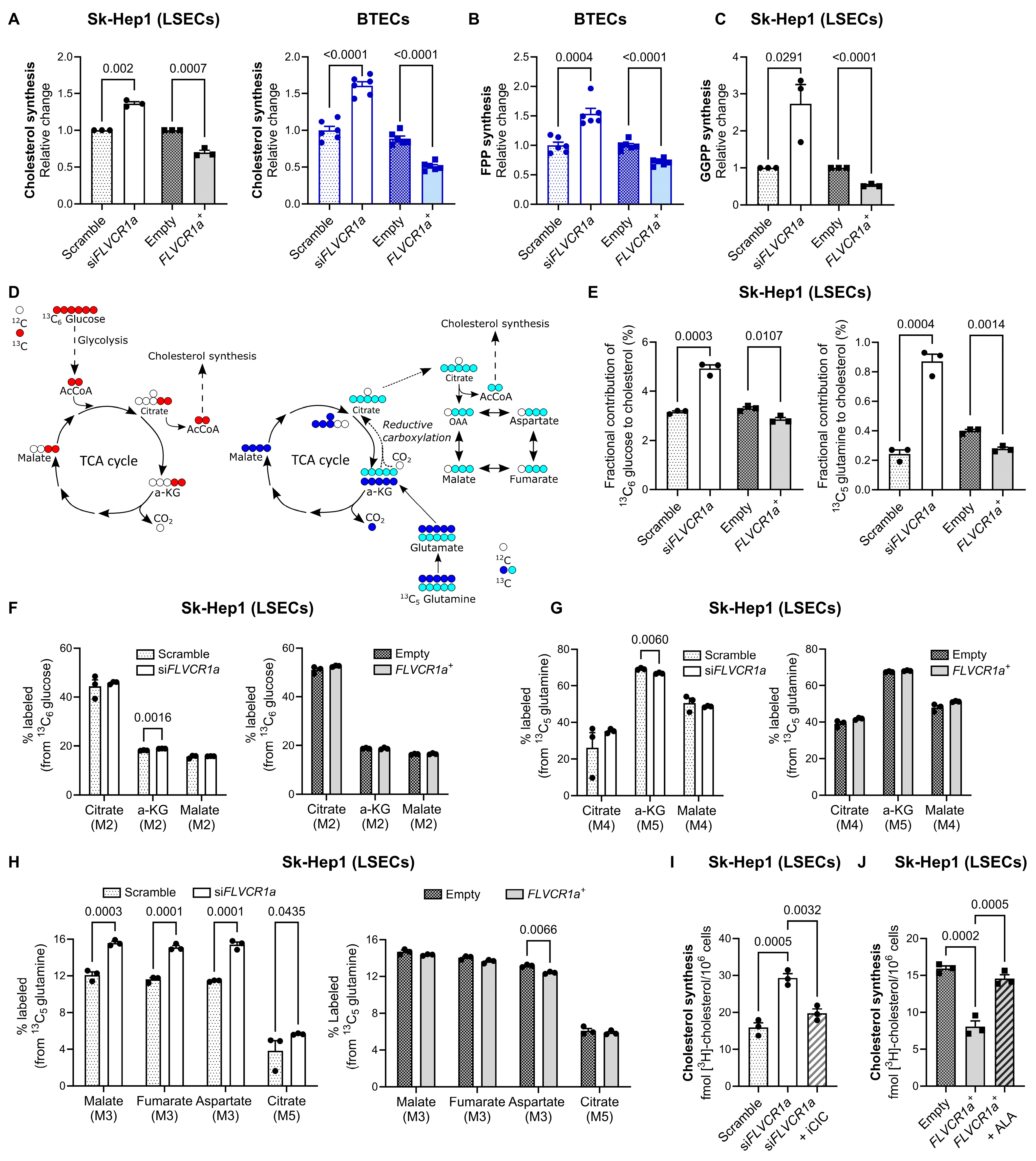Biomolecules 14 00149 g002 Biomolecules 14 00149 g002