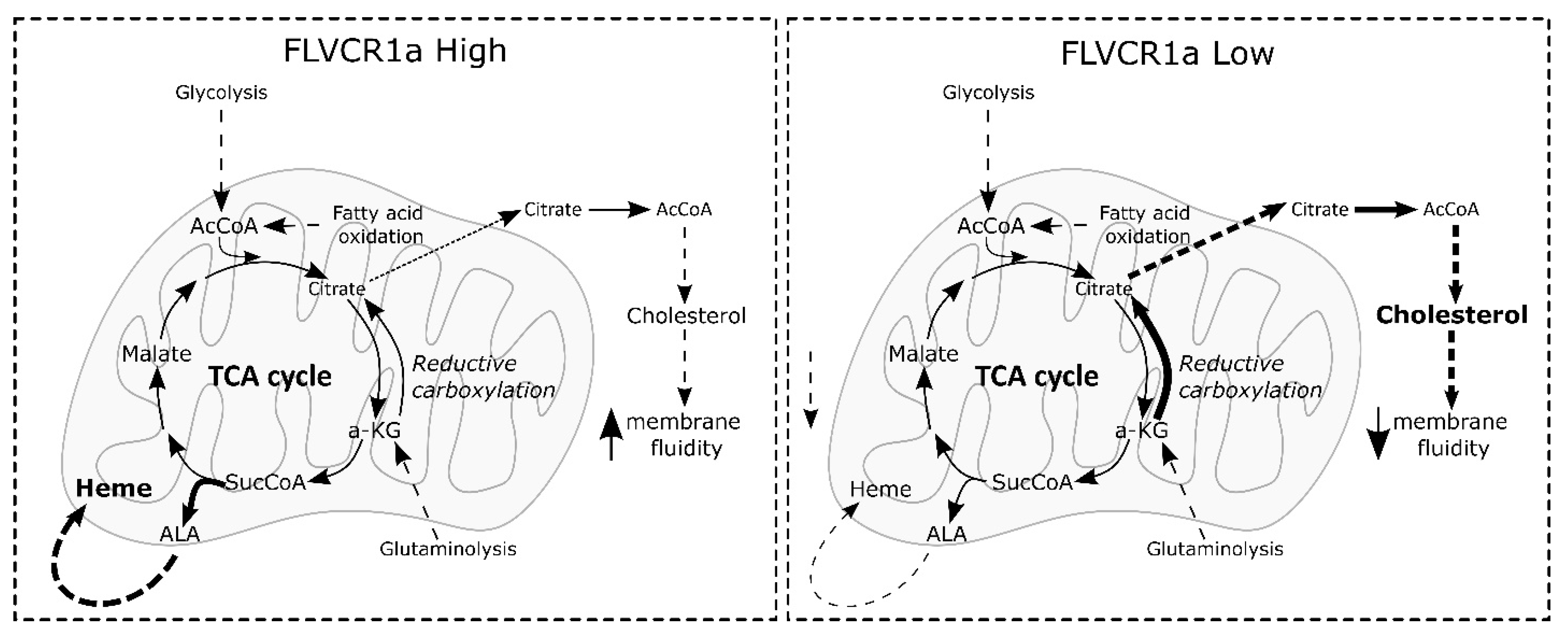Biomolecules 14 00149 g005 Biomolecules 14 00149 g005