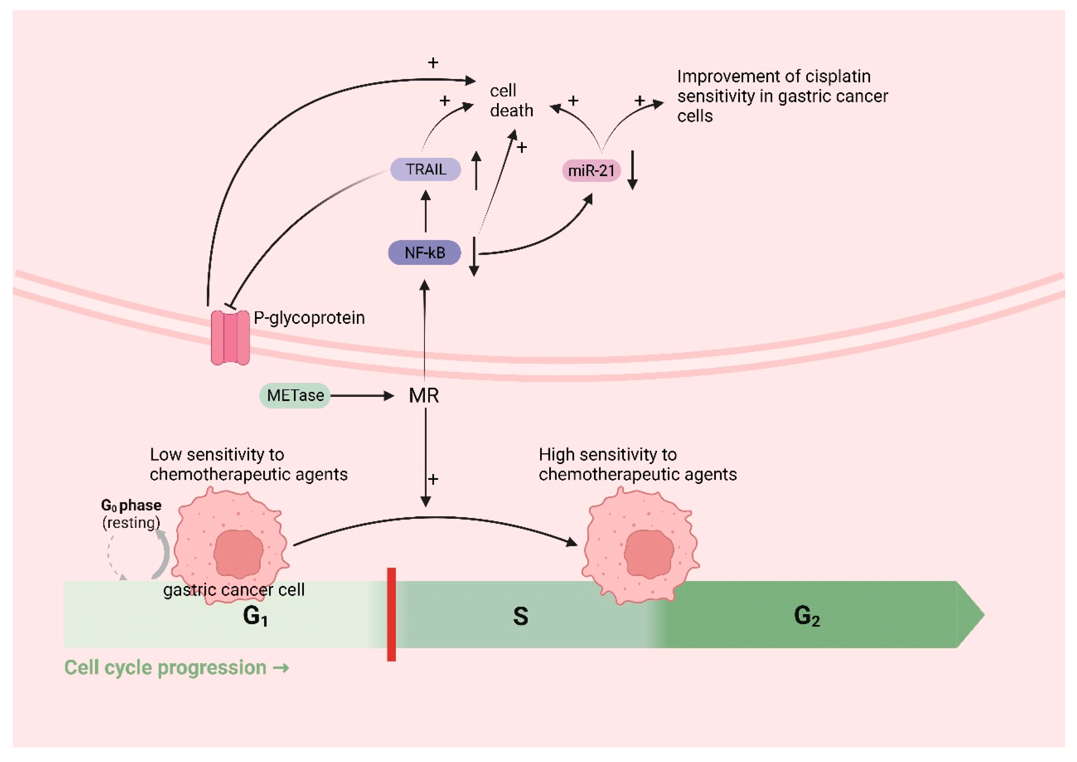 Biomolecules 14 00161 g005 Biomolecules 14 00161 g005