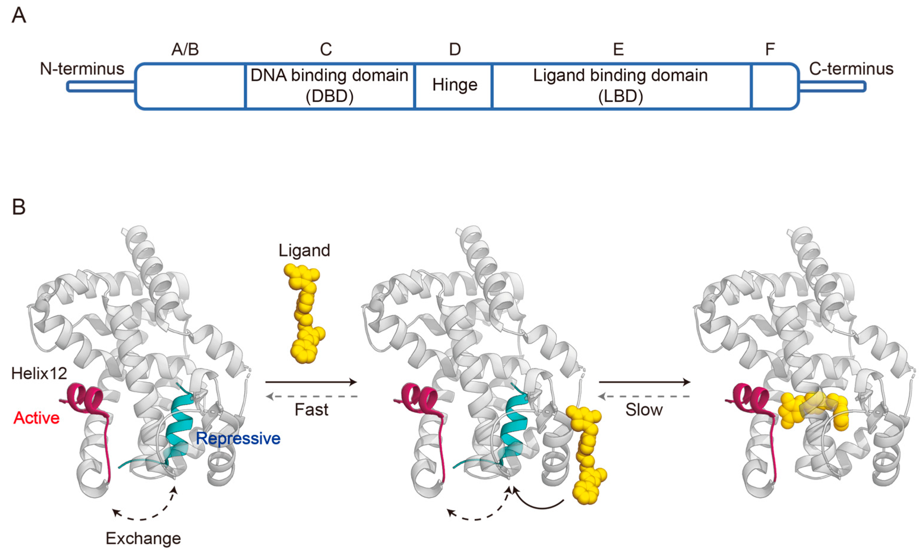 Biomolecules 14 00190 g001 Biomolecules 14 00190 g001