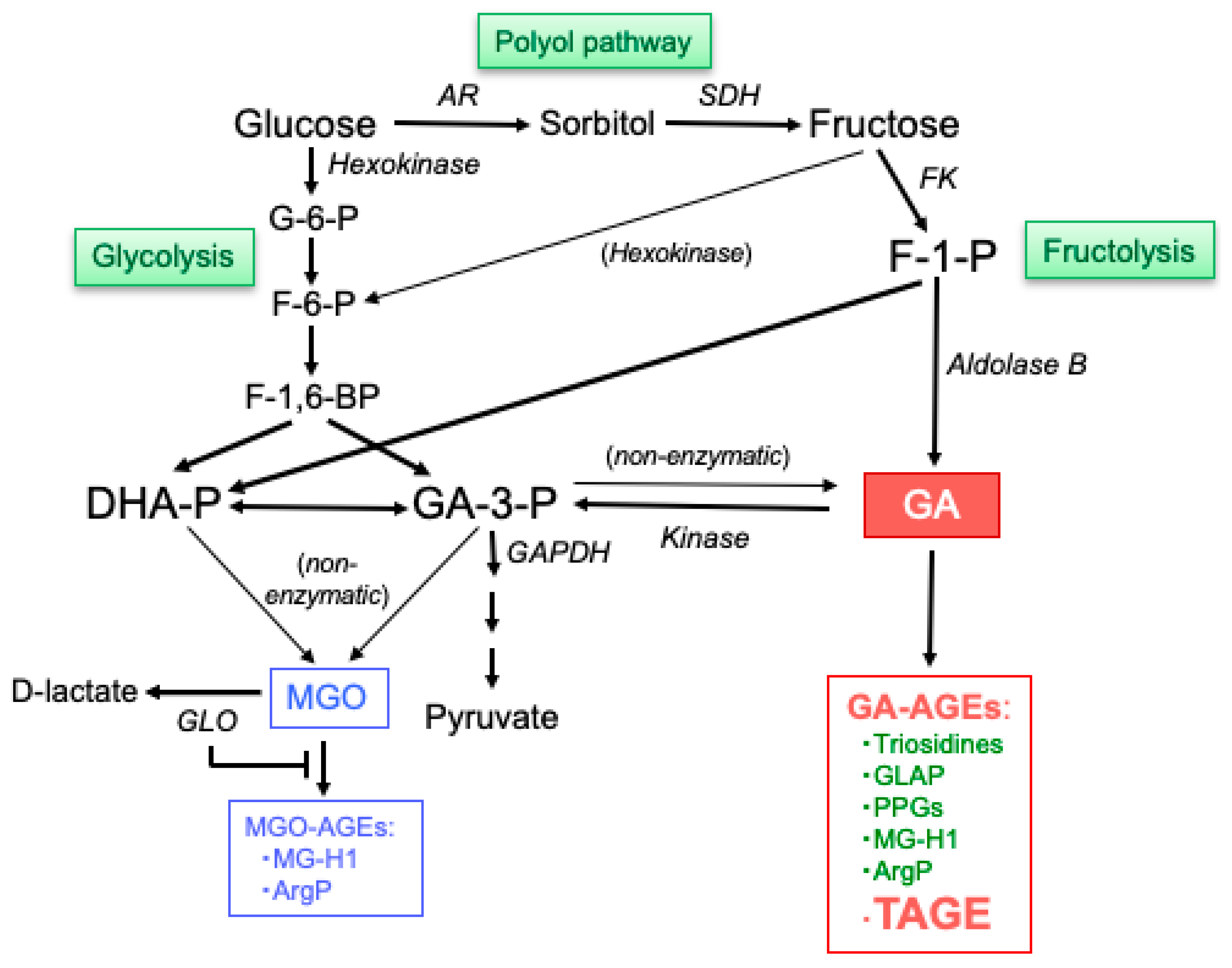 Biomolecules 14 00202 g002