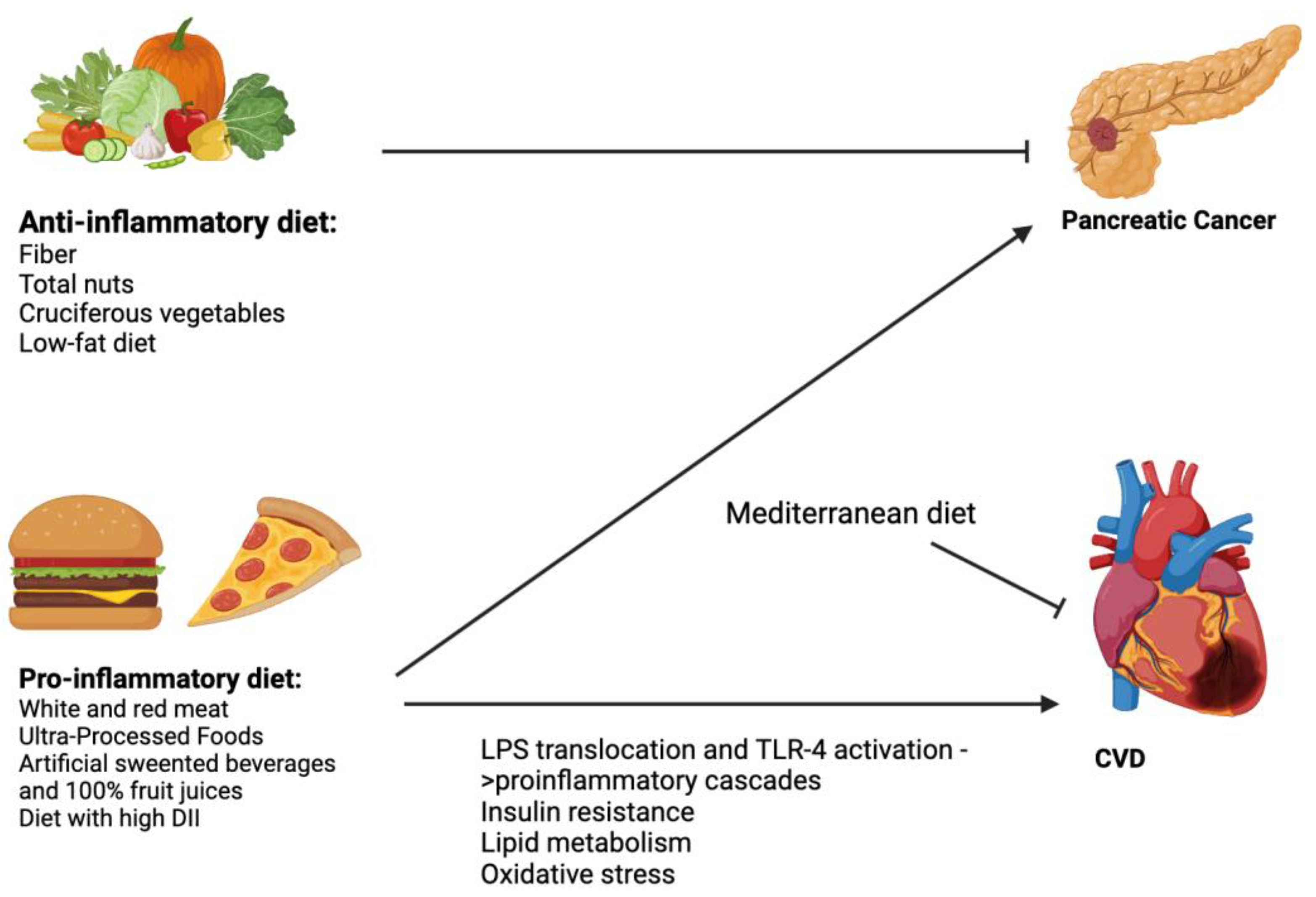 Biomolecules 14 00210 g002
