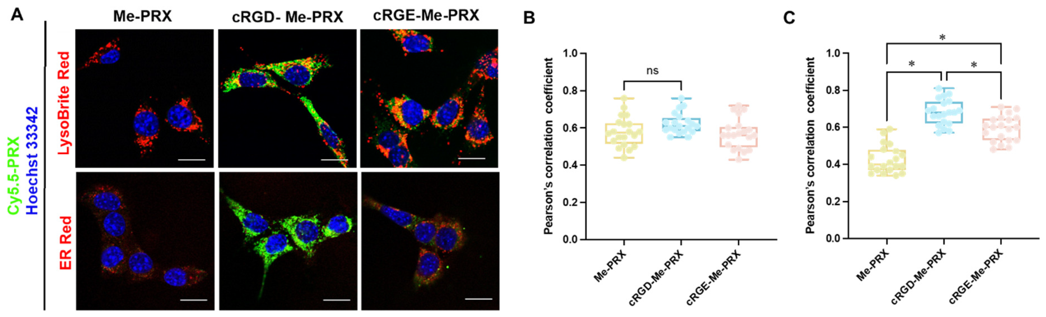 Biomolecules 14 00223 g005
