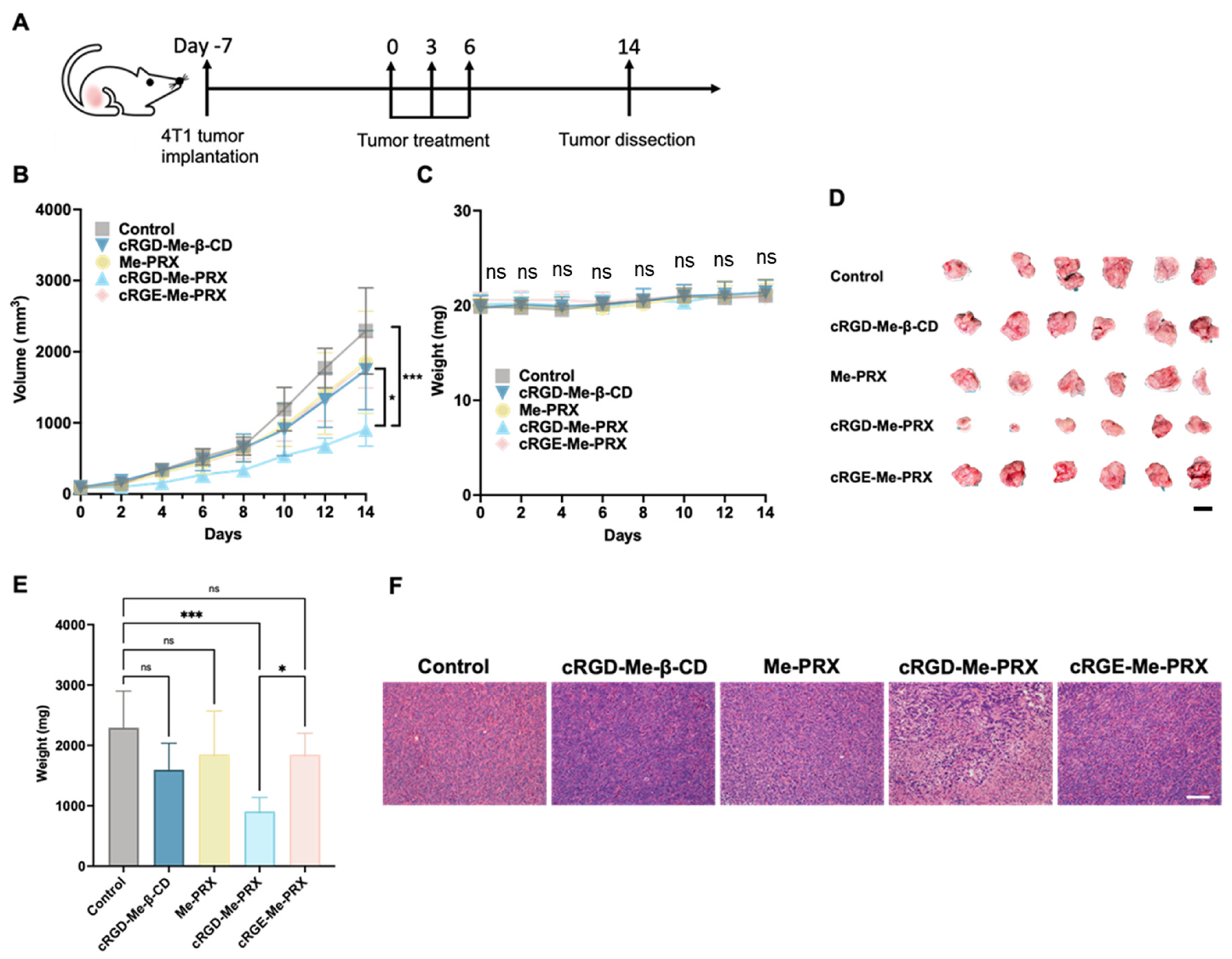Biomolecules 14 00223 g008
