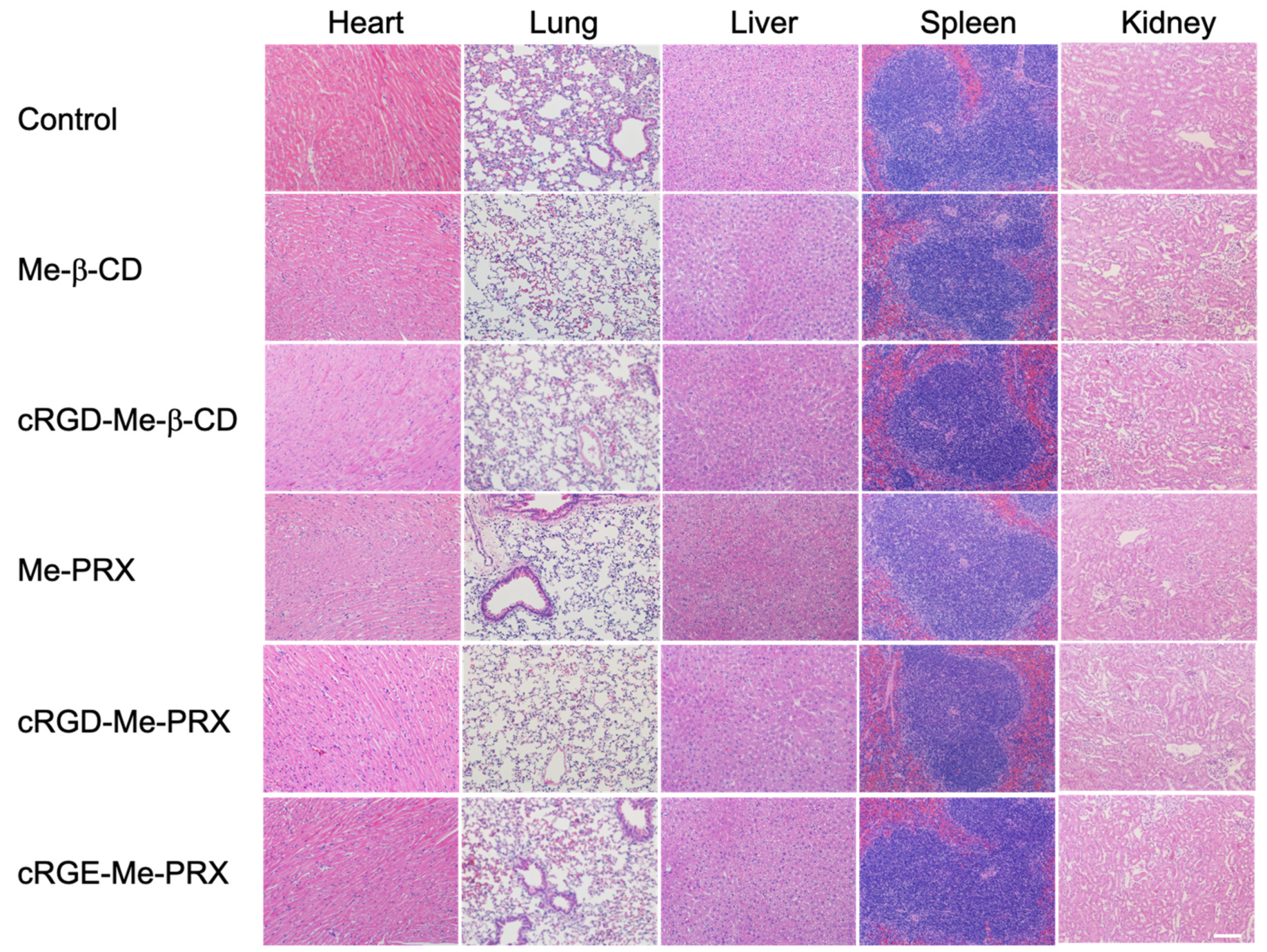 Biomolecules 14 00223 g009