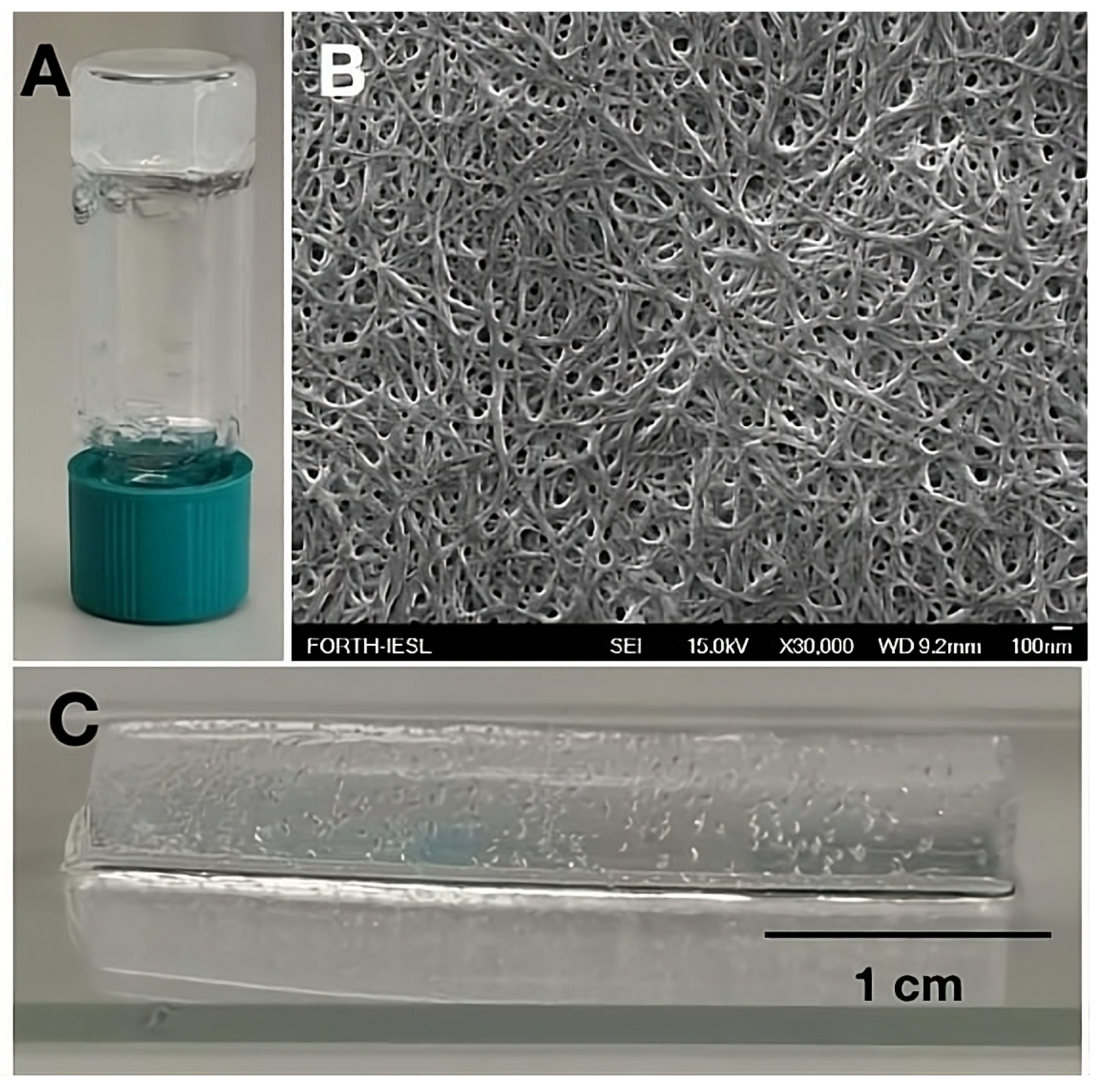 Biomolecules 14 00226 g001