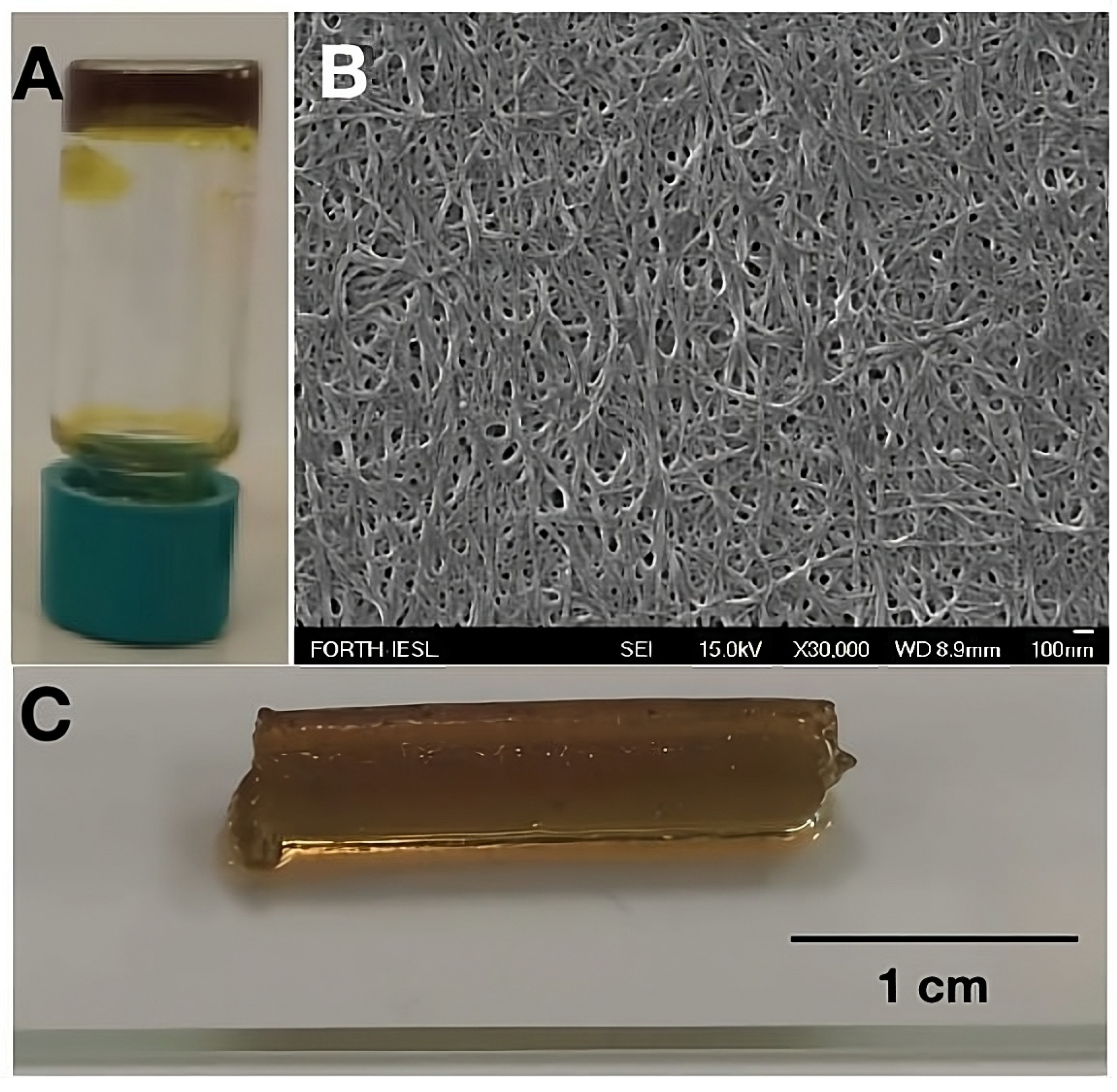 Biomolecules 14 00226 g003