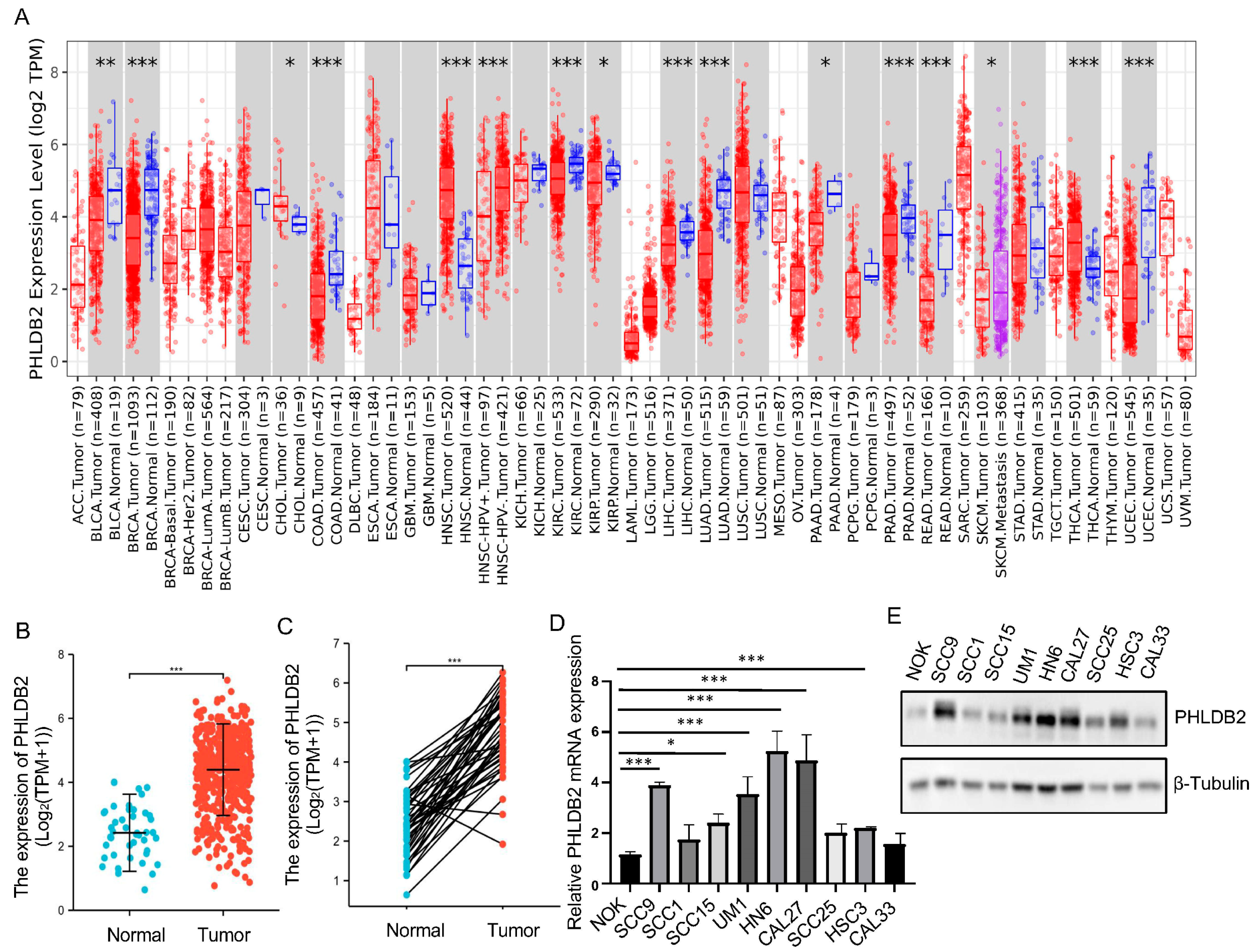 Biomolecules 14 00232 g001a