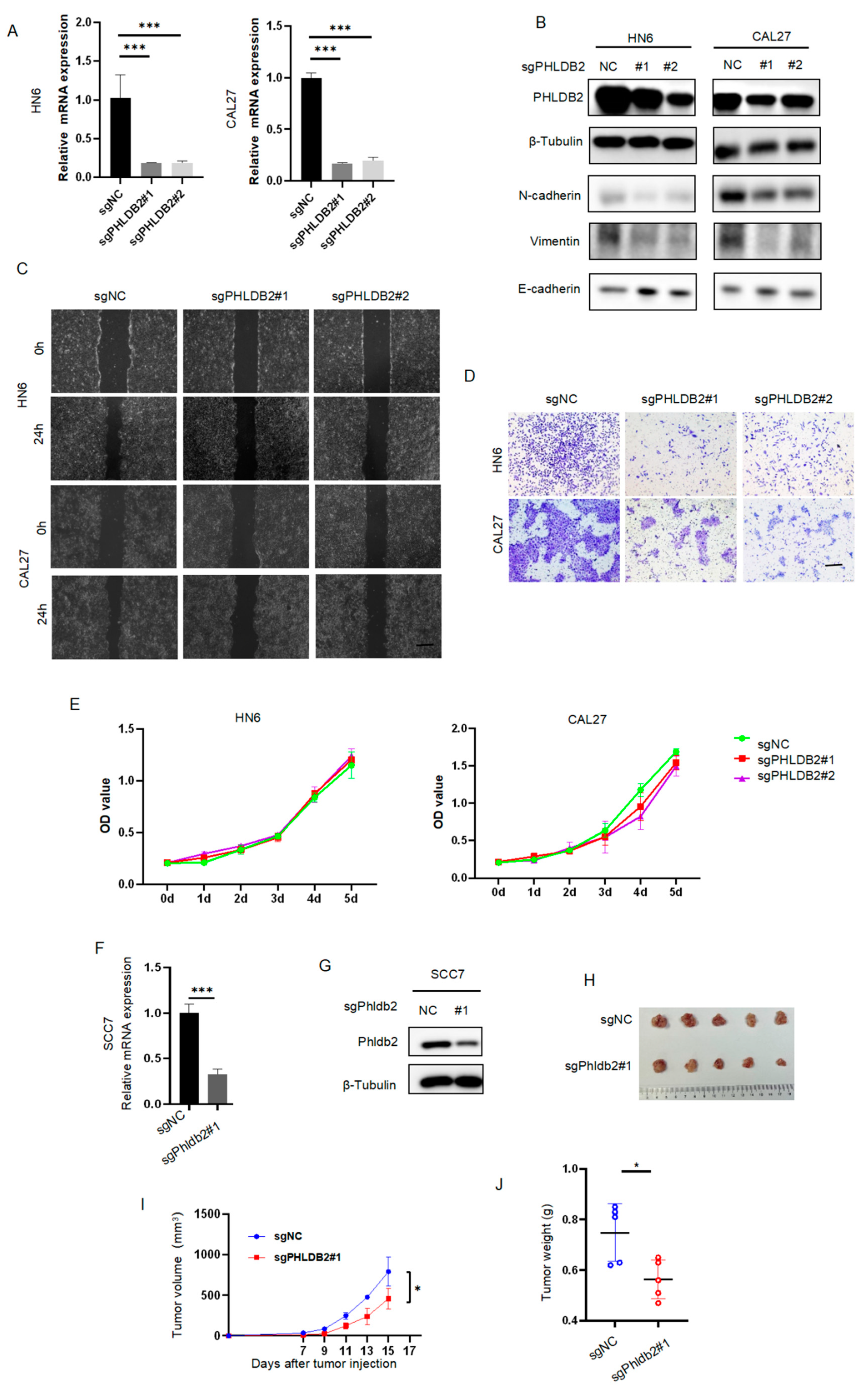 Biomolecules 14 00232 g002