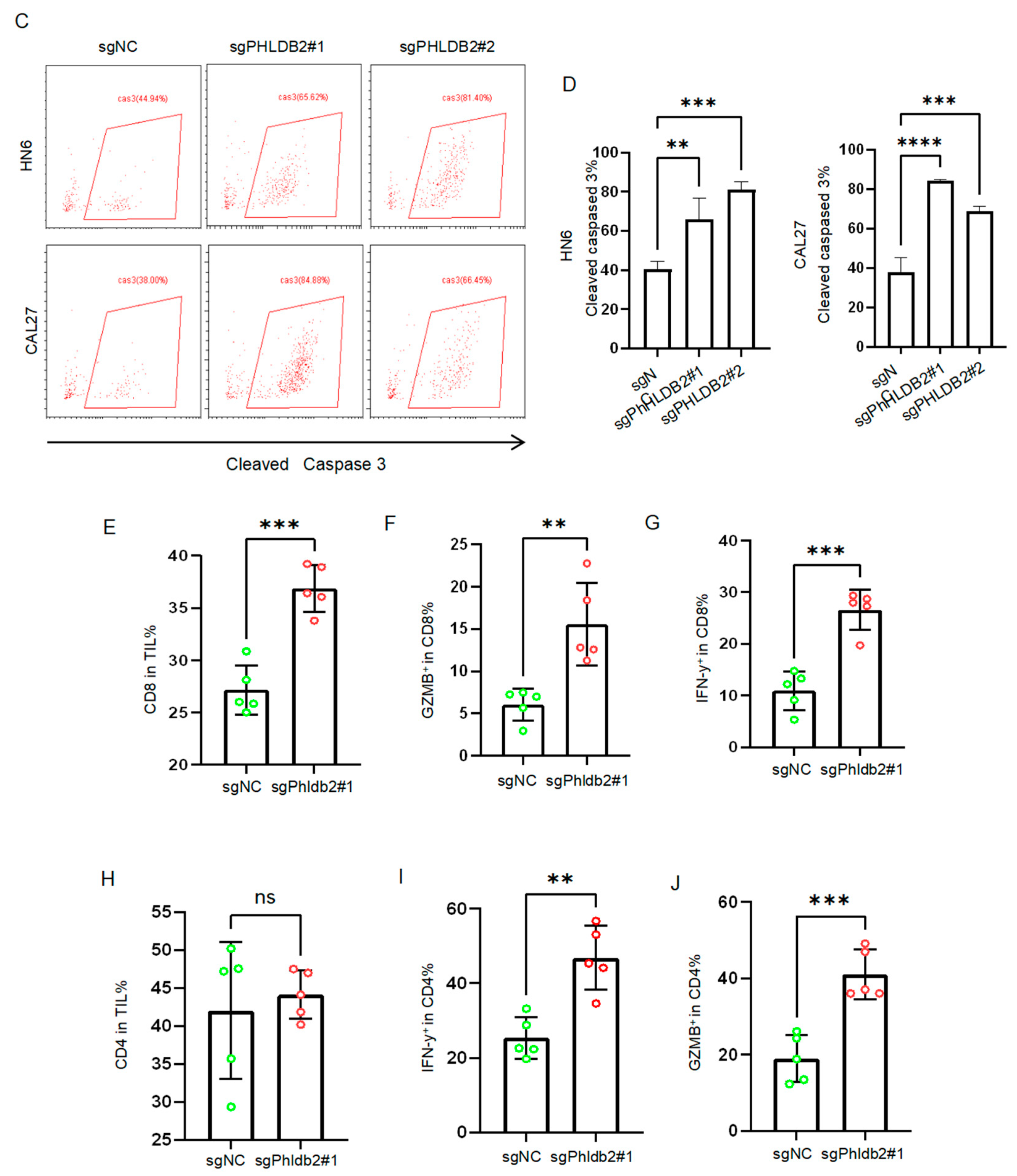 Biomolecules 14 00232 g005b