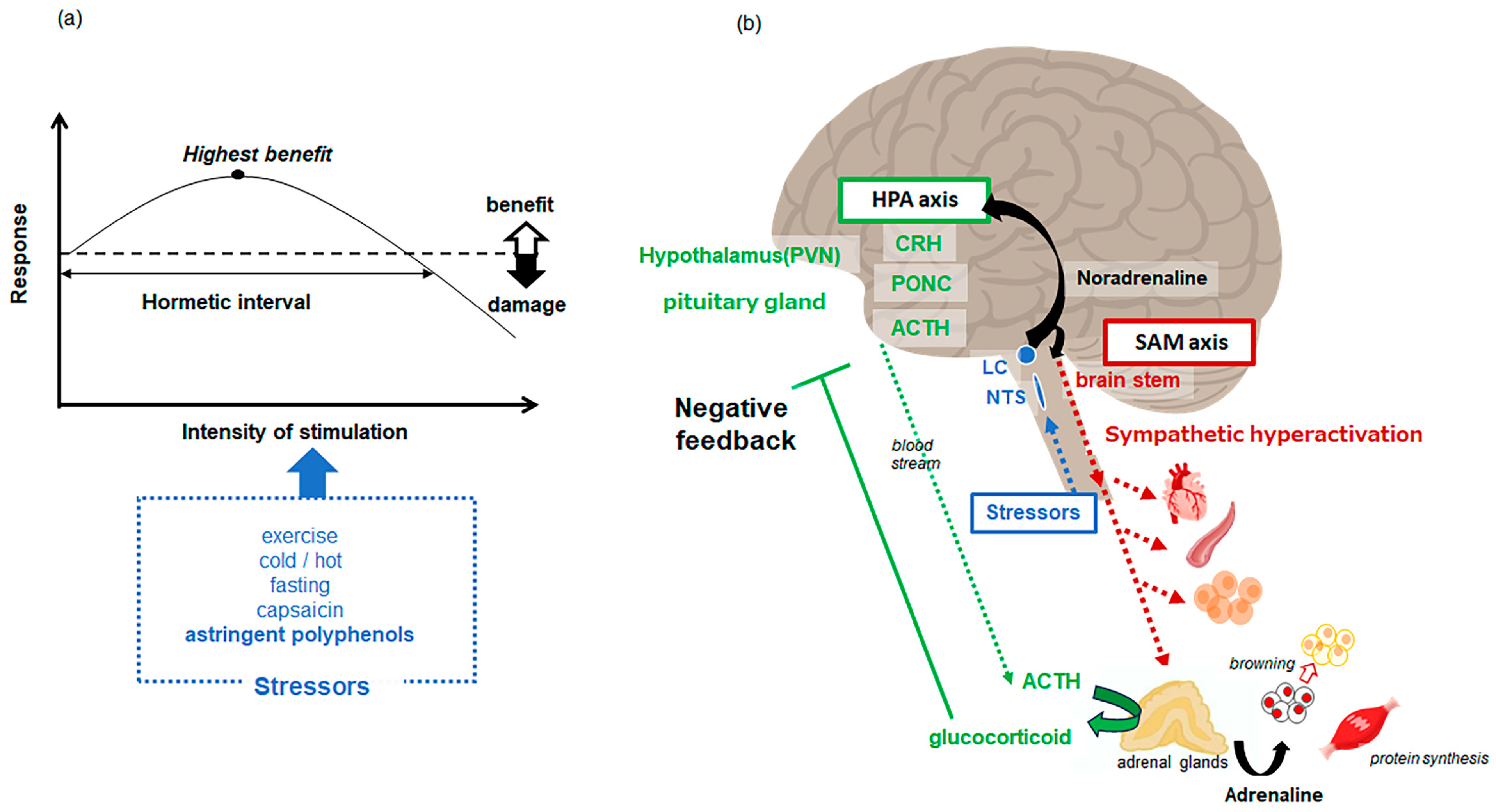 Biomolecules 14 00234 g002 Biomolecules 14 00234 g002