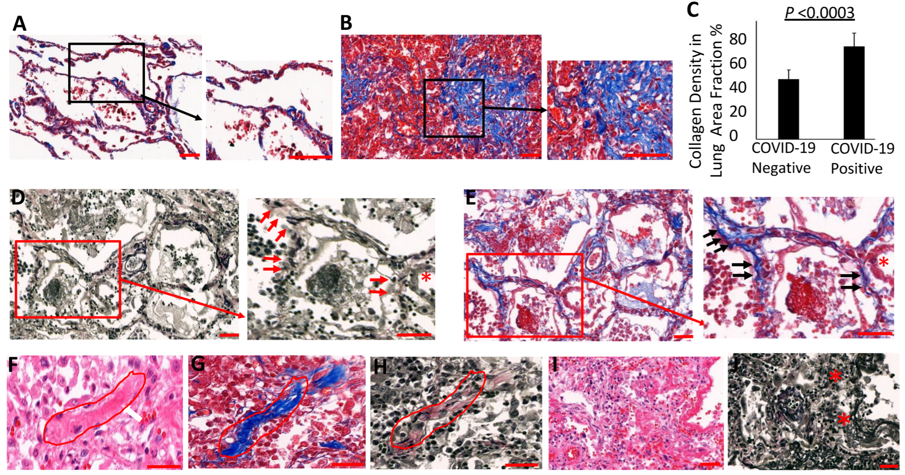 Biomolecules 14 00236 g003 Biomolecules 14 00236 g003
