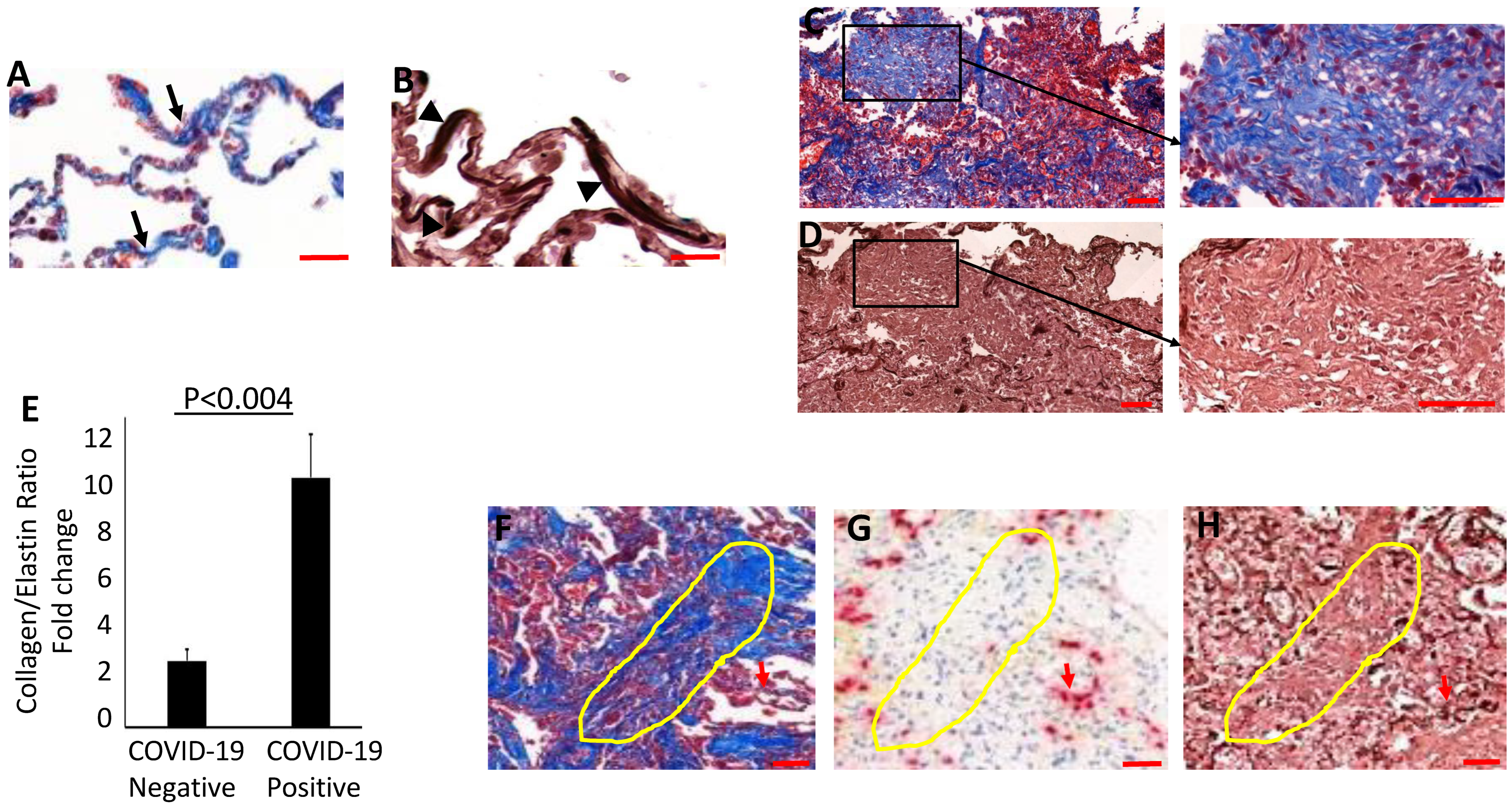 Biomolecules 14 00236 g004 Biomolecules 14 00236 g004