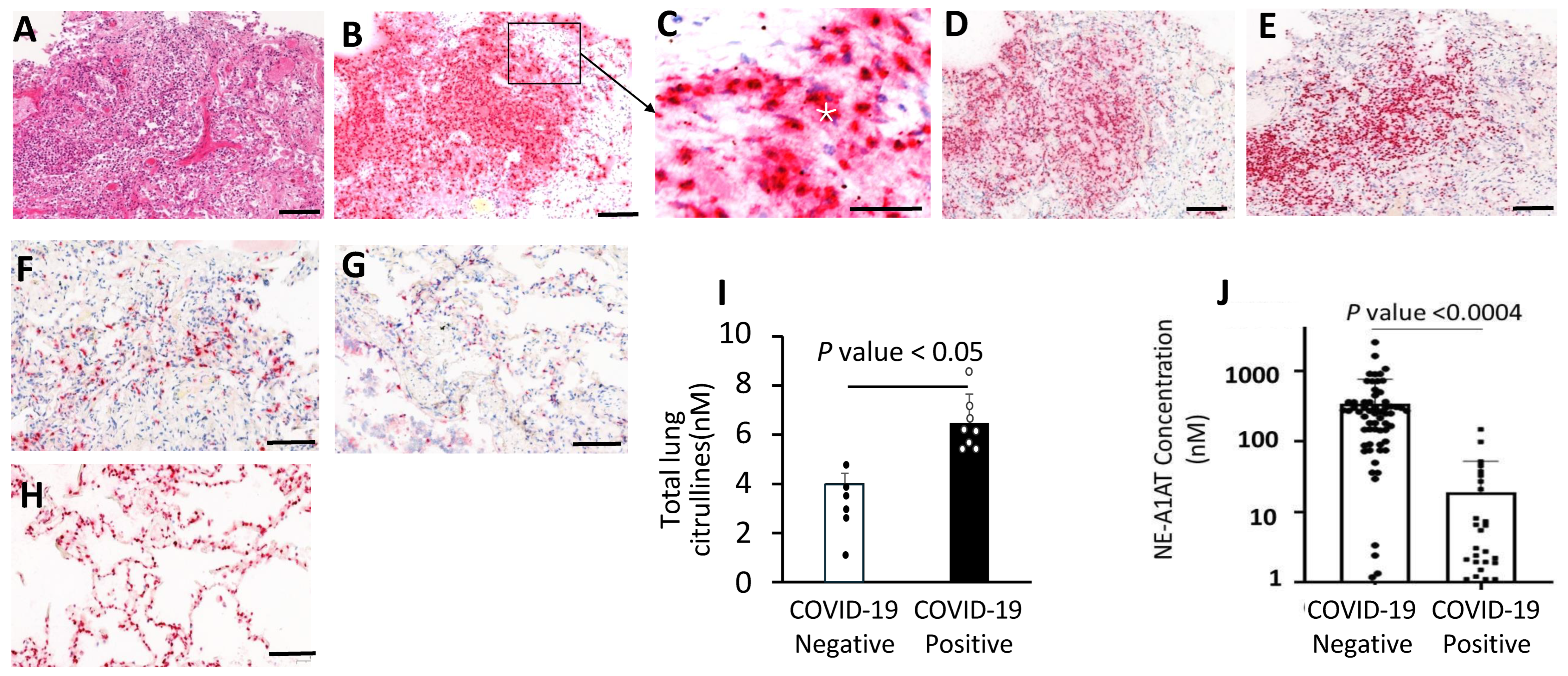 Biomolecules 14 00236 g005 Biomolecules 14 00236 g005