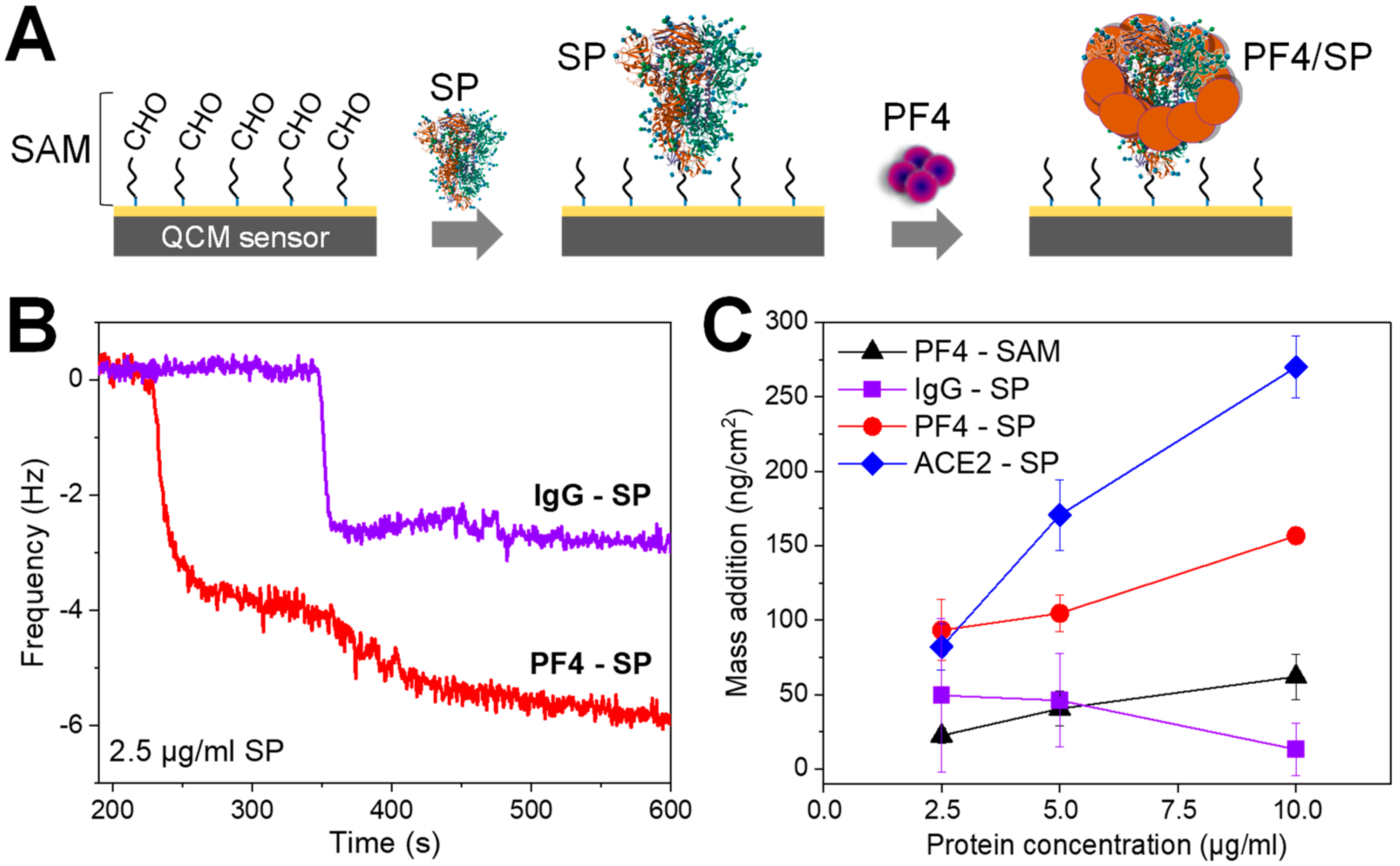 Biomolecules 14 00245 g001