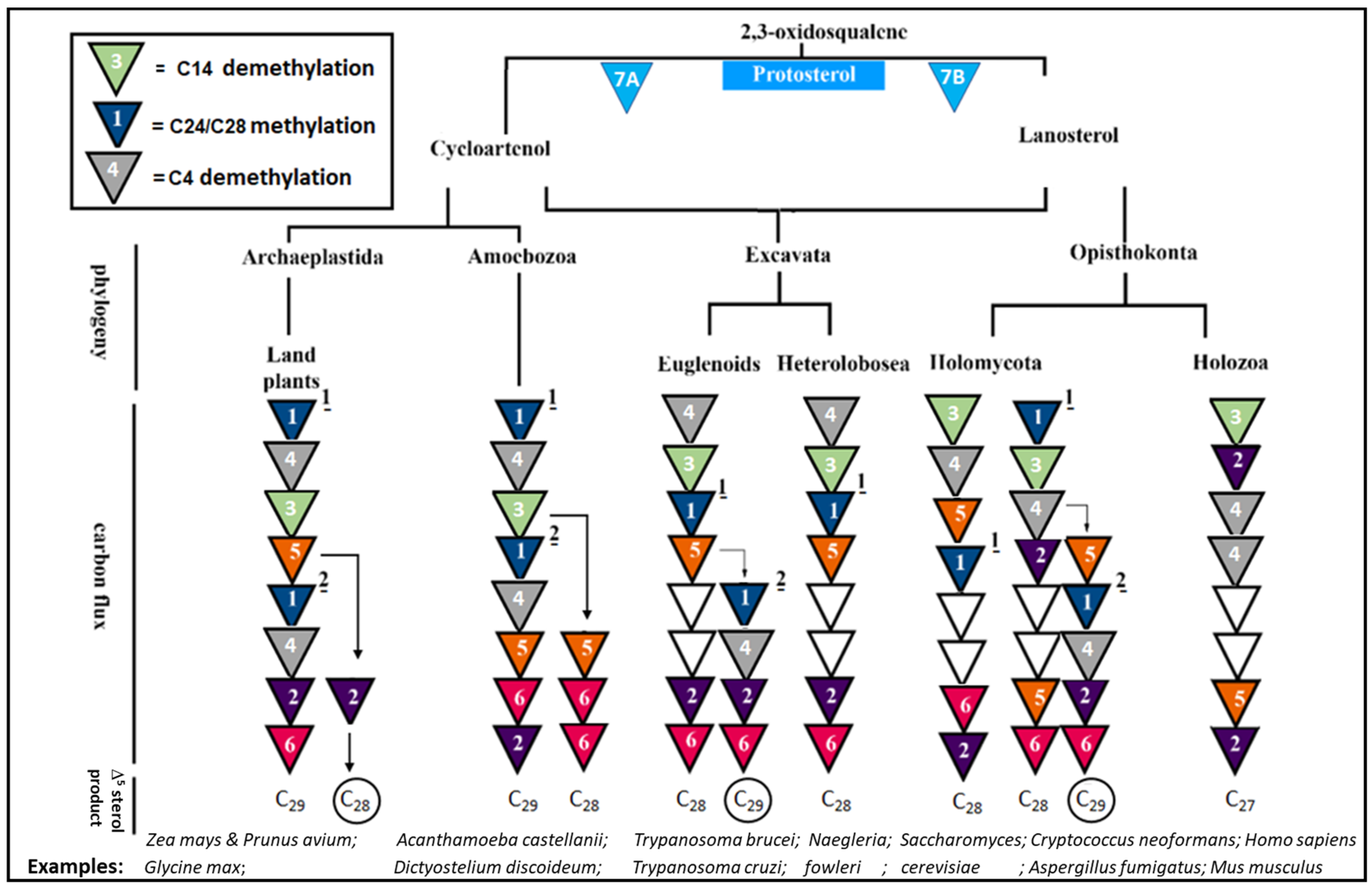 Biomolecules 14 00249 g002