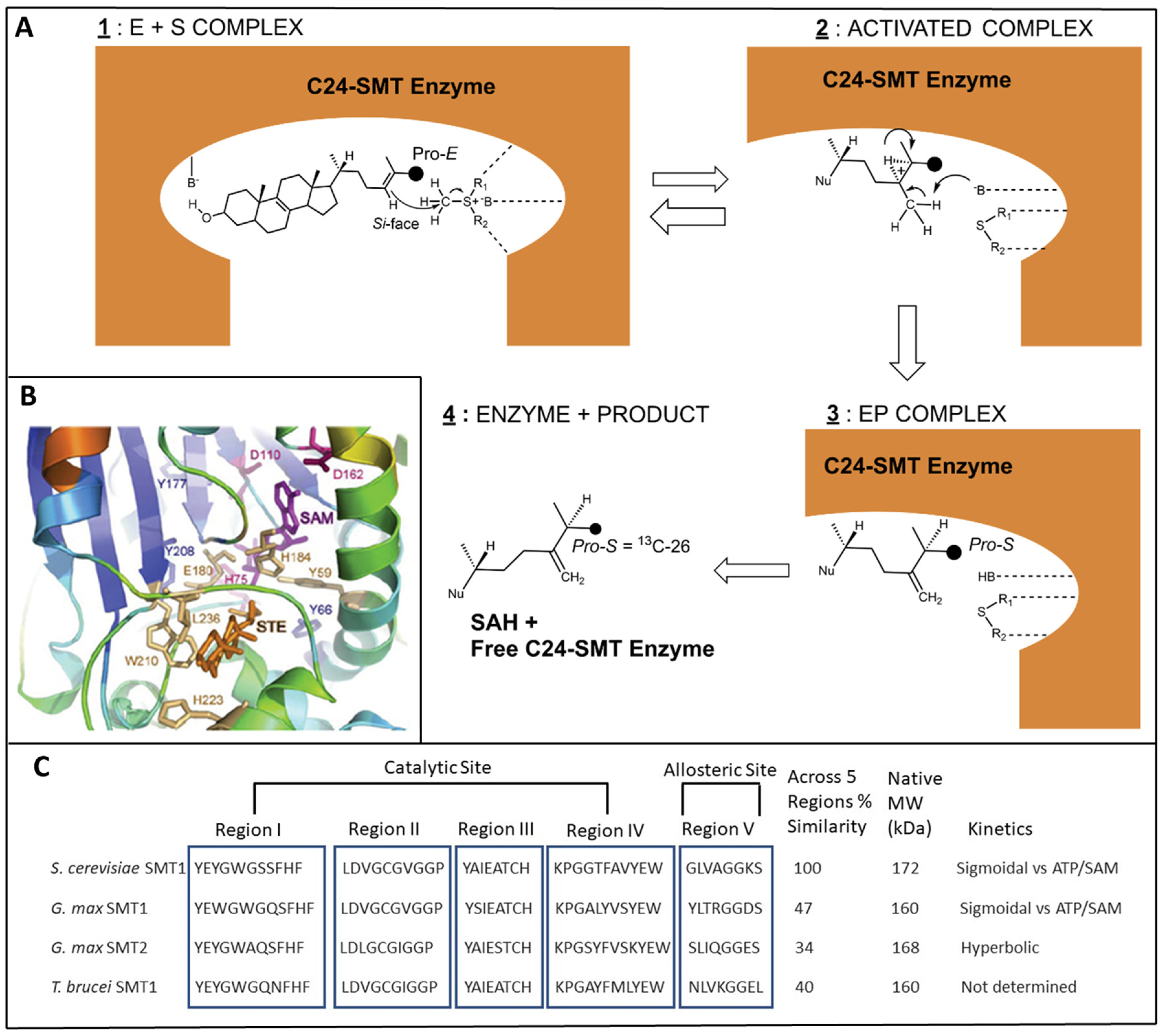 Biomolecules 14 00249 g004