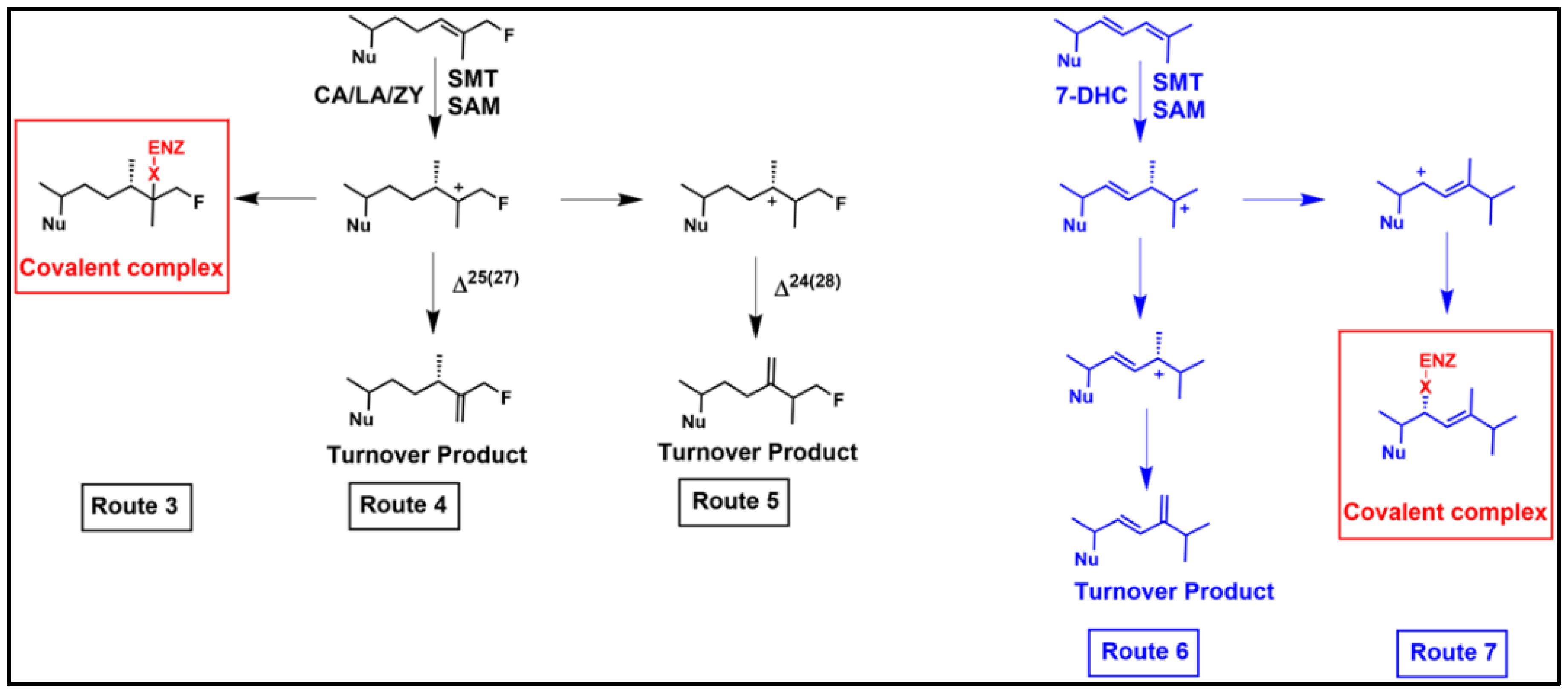 Biomolecules 14 00249 g006