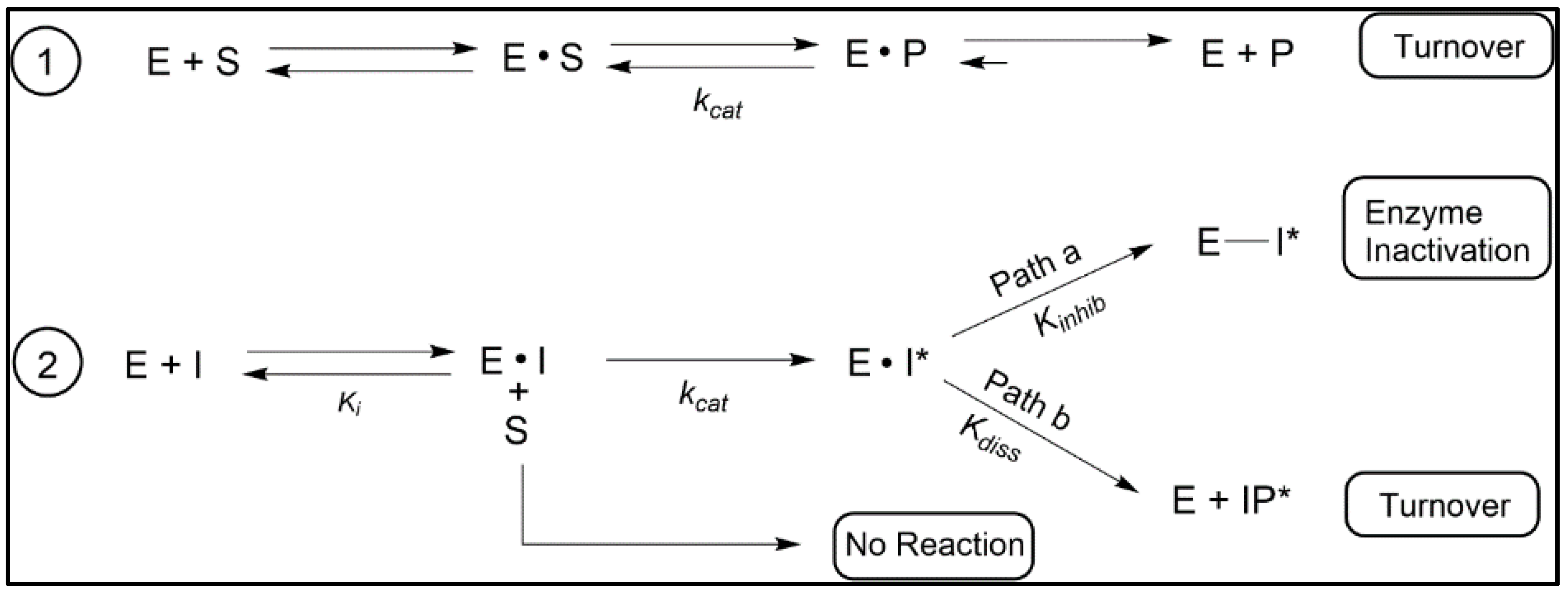Biomolecules 14 00249 g007