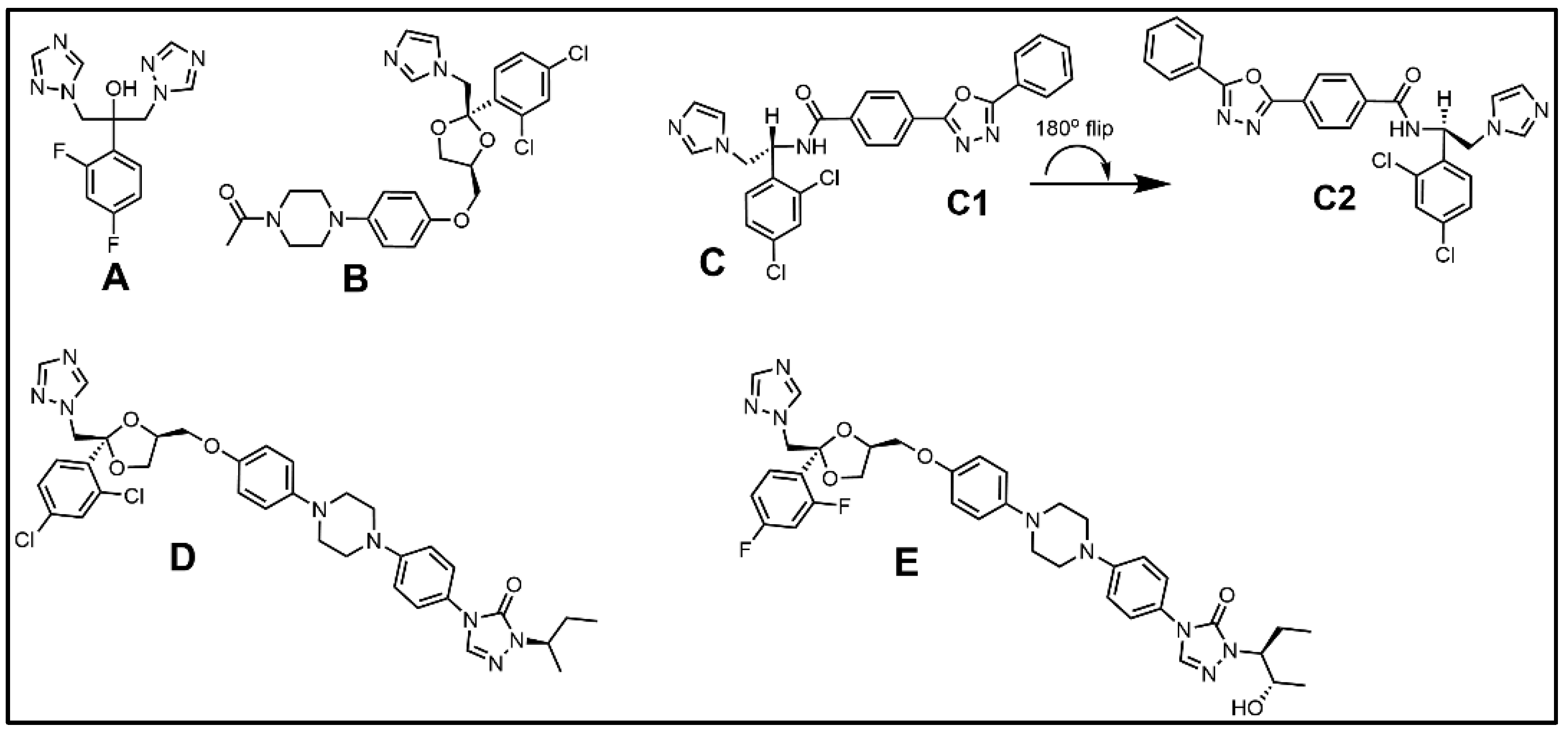 Biomolecules 14 00249 g010