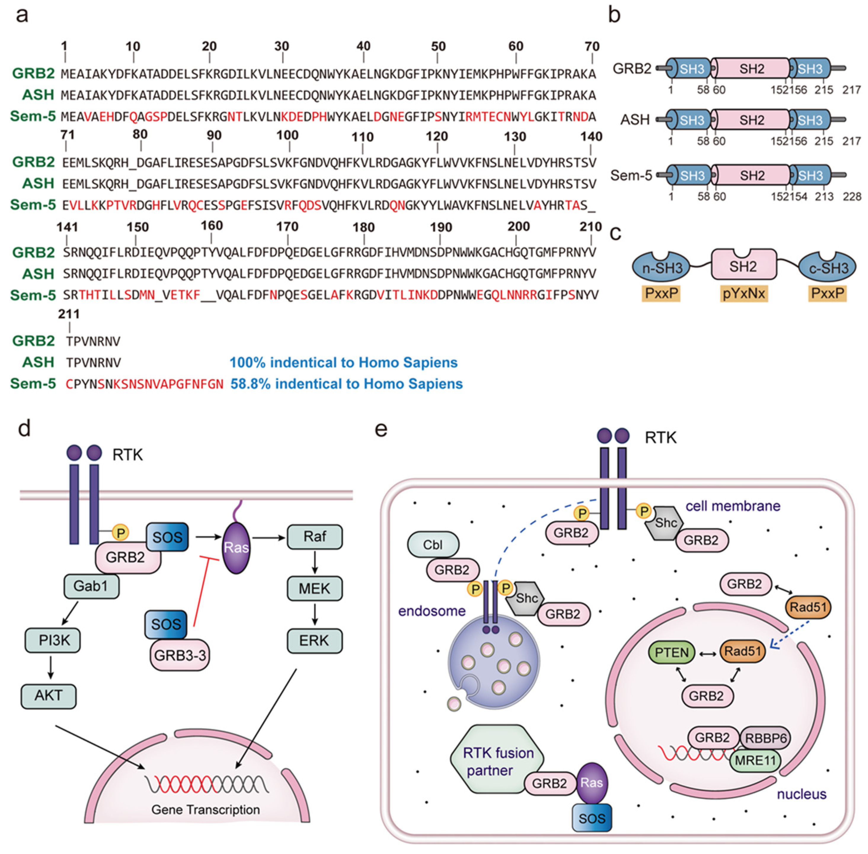 Biomolecules 14 00259 g001 Biomolecules 14 00259 g001
